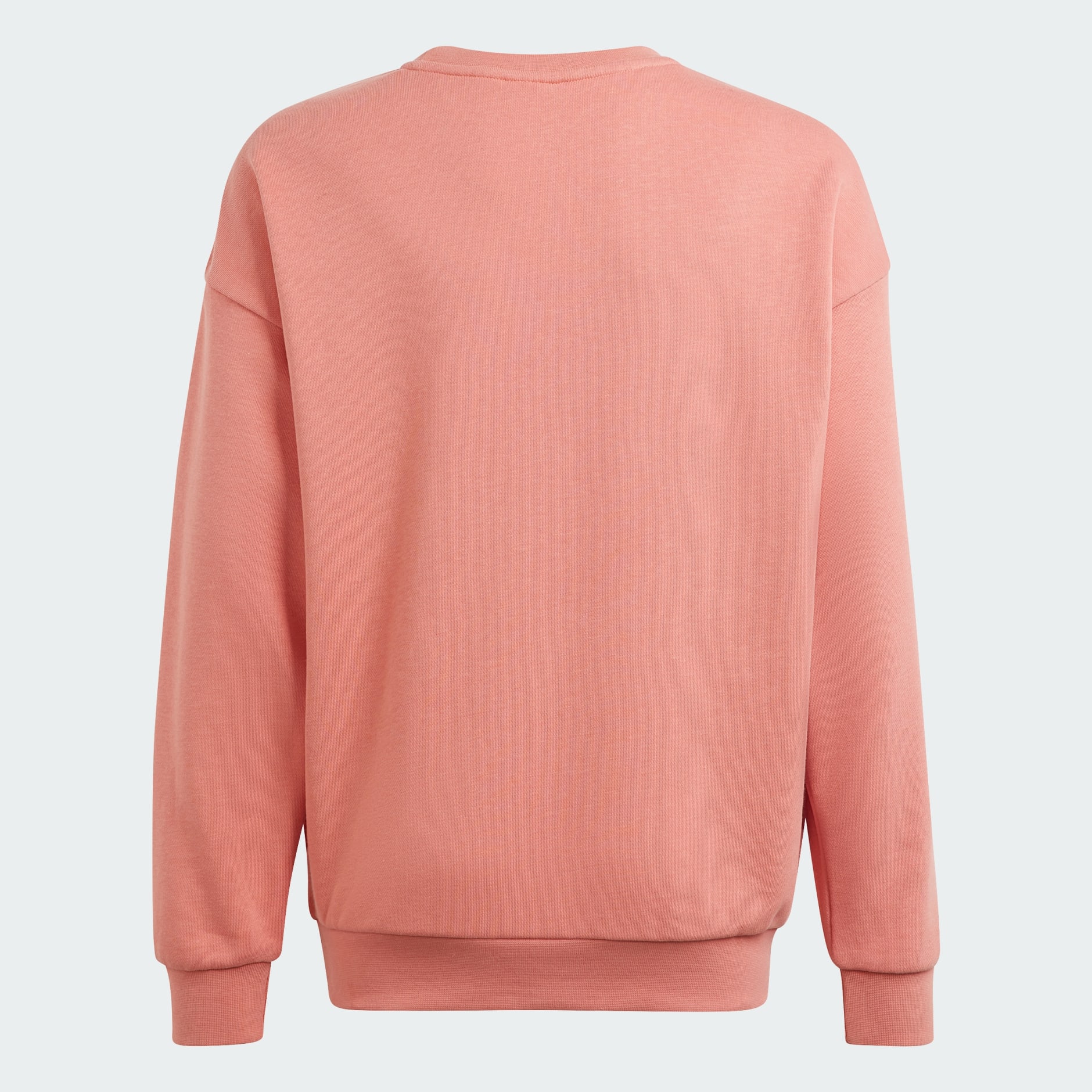 Salmon 2024 adidas sweatshirt