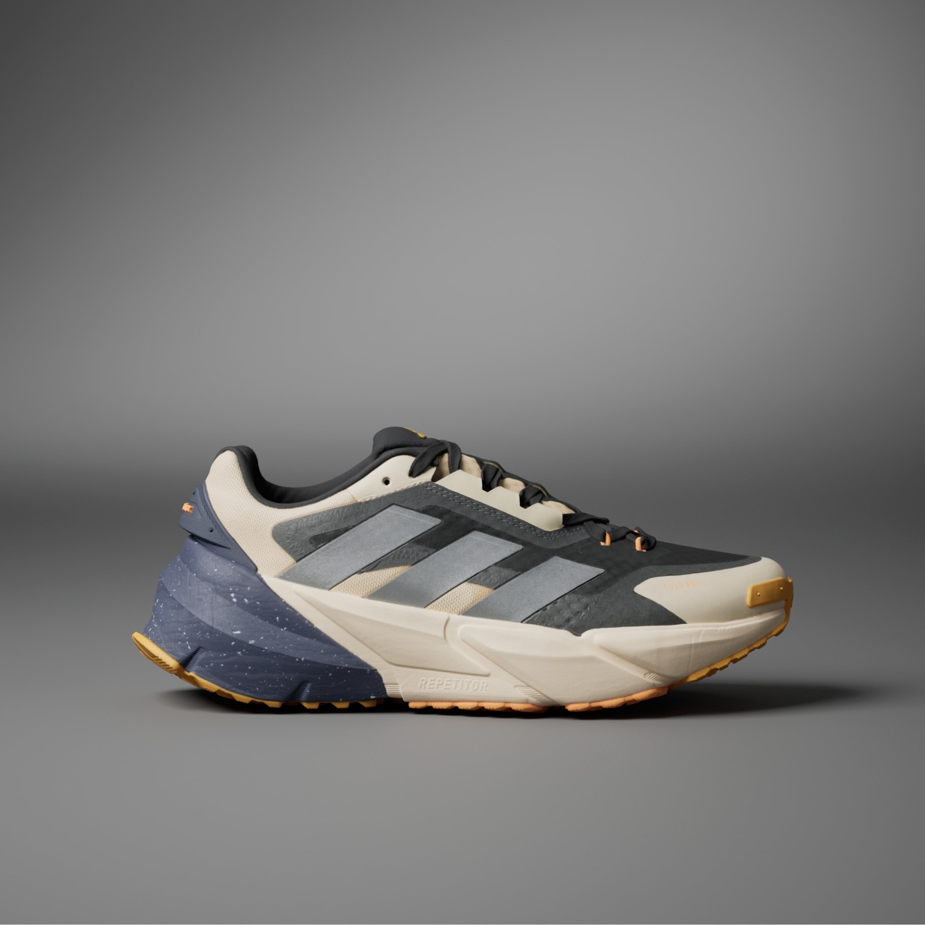 Adistar COLD.RDY Shoes