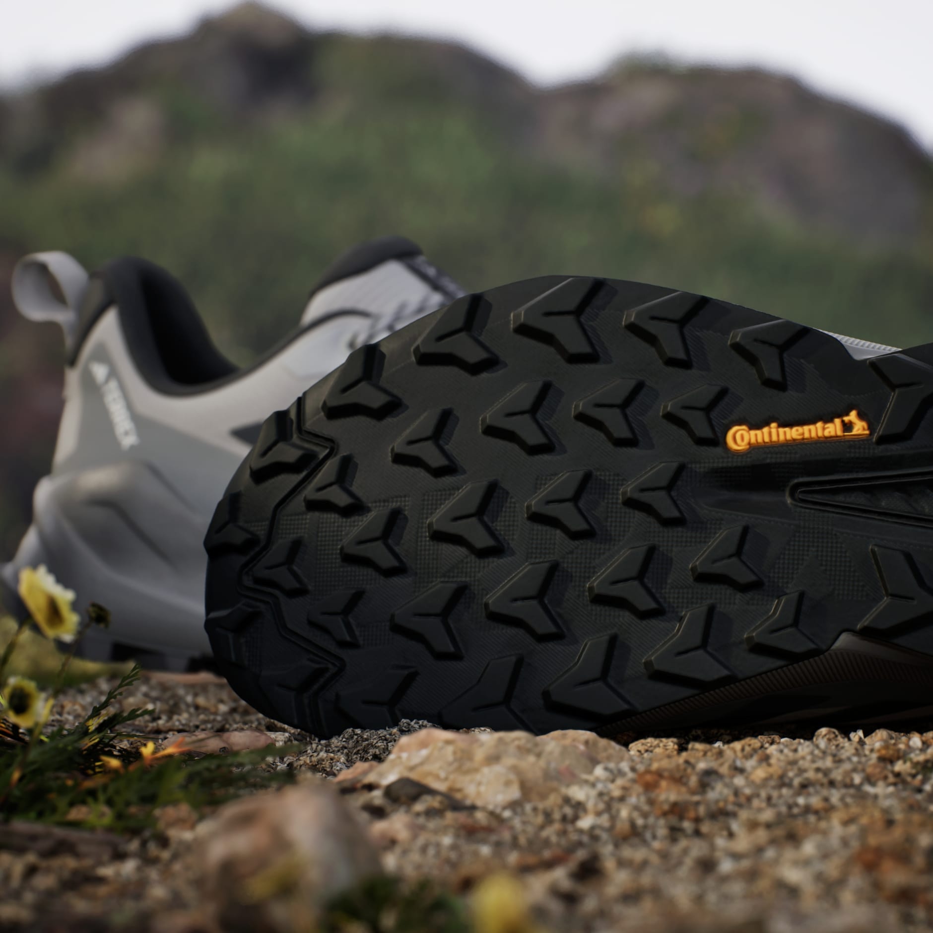 Pantofi de drumeție Terrex Trailmaker 2 GORE-TEX