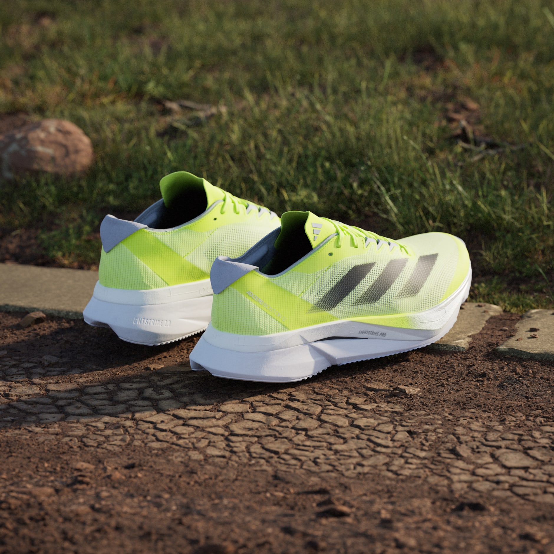 Tenisice Adizero Boston 12