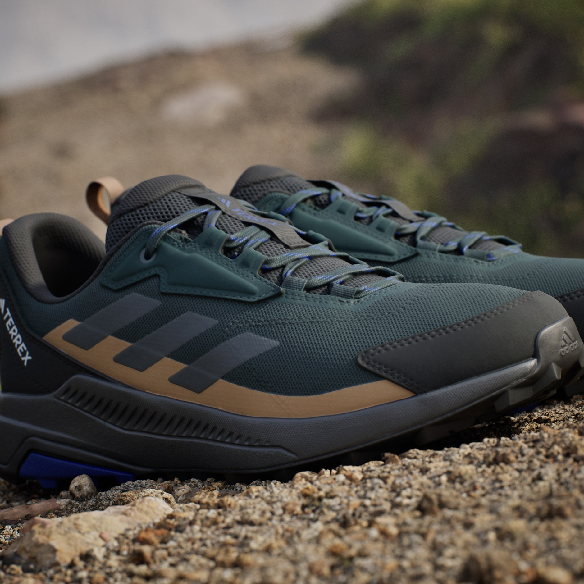 Pantofi de drumeție Terrex Anylander