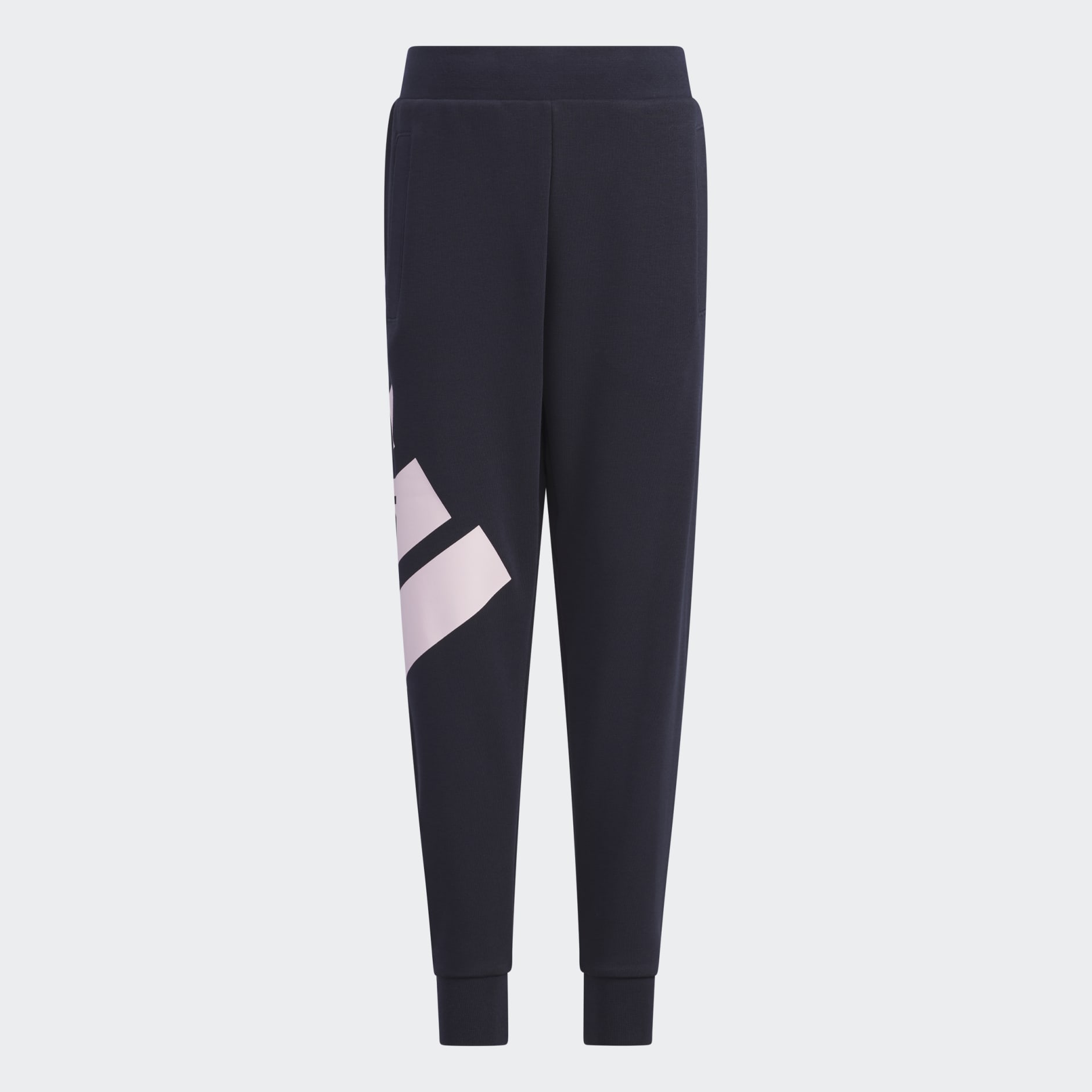Badge of Sport Logo Pants