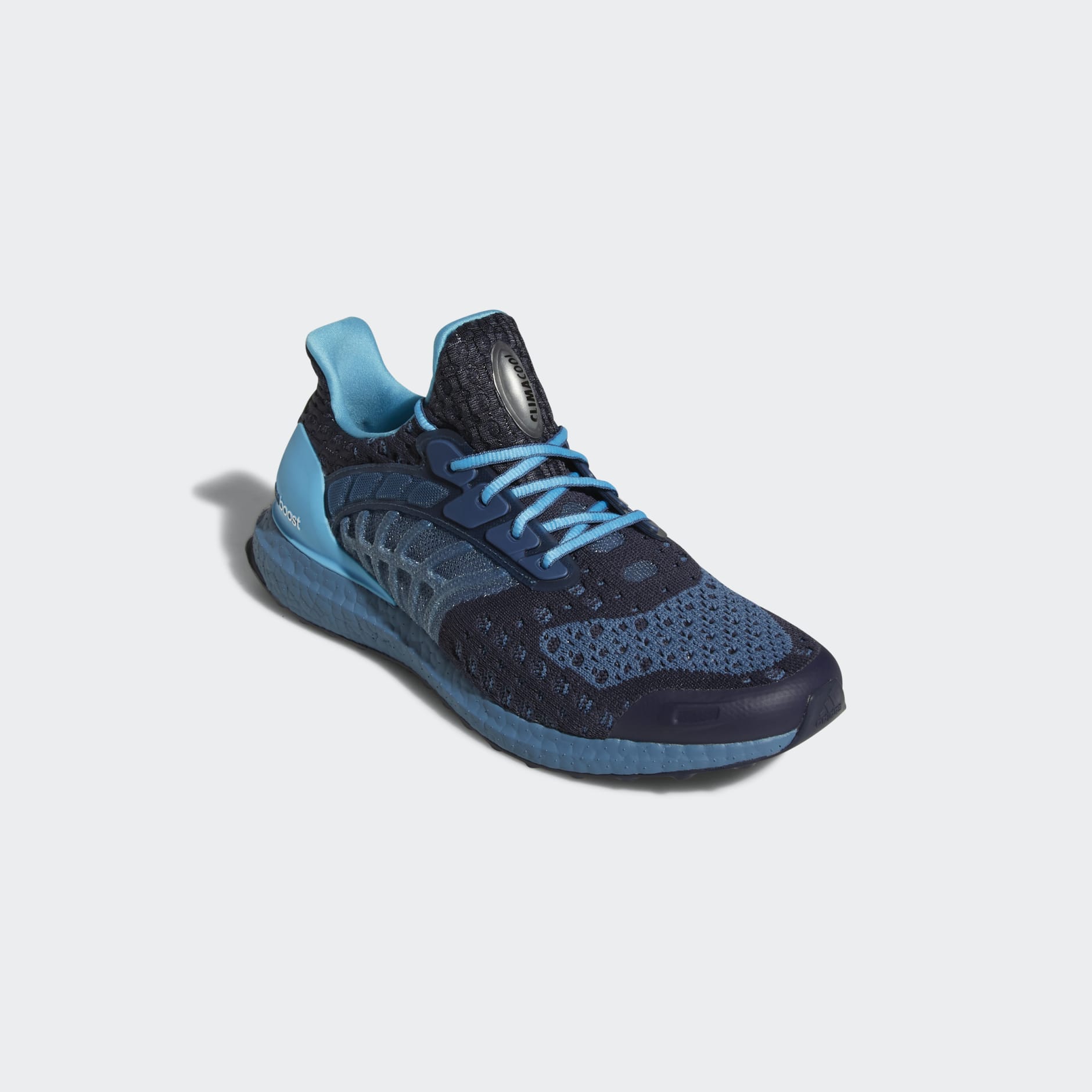 Ultraboost Climacool 2 DNA Shoes