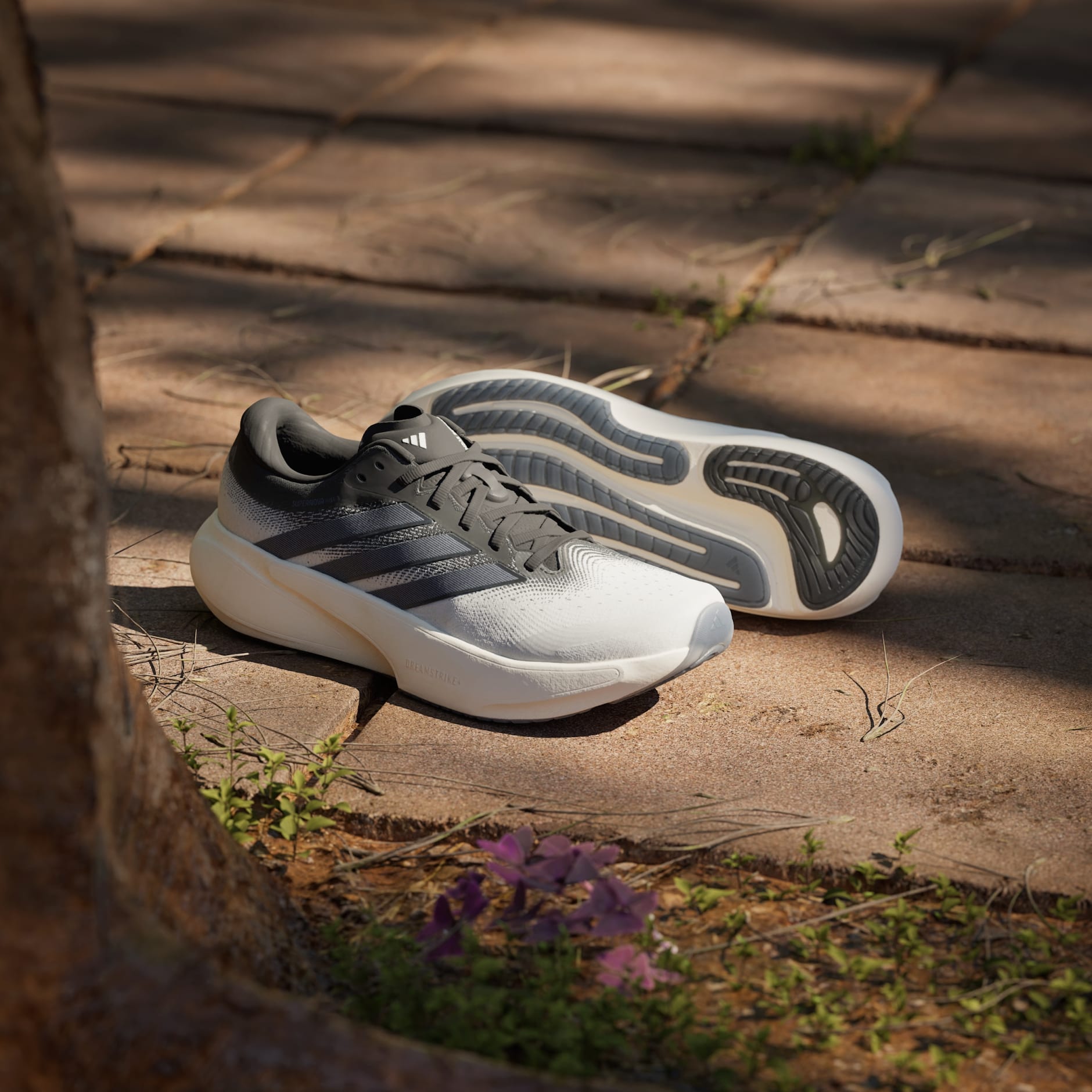 CHAUSSURE DE RUNNING SUPERNOVA RISE&nbsp;3