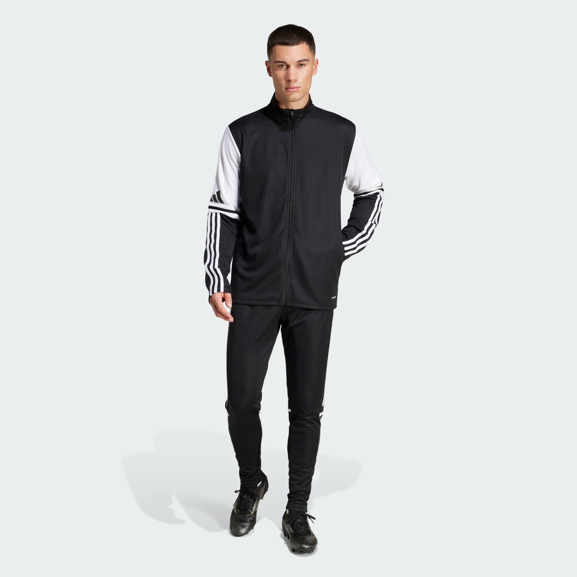 Squadra 25 Training Pants - Black | adidas Hong Kong