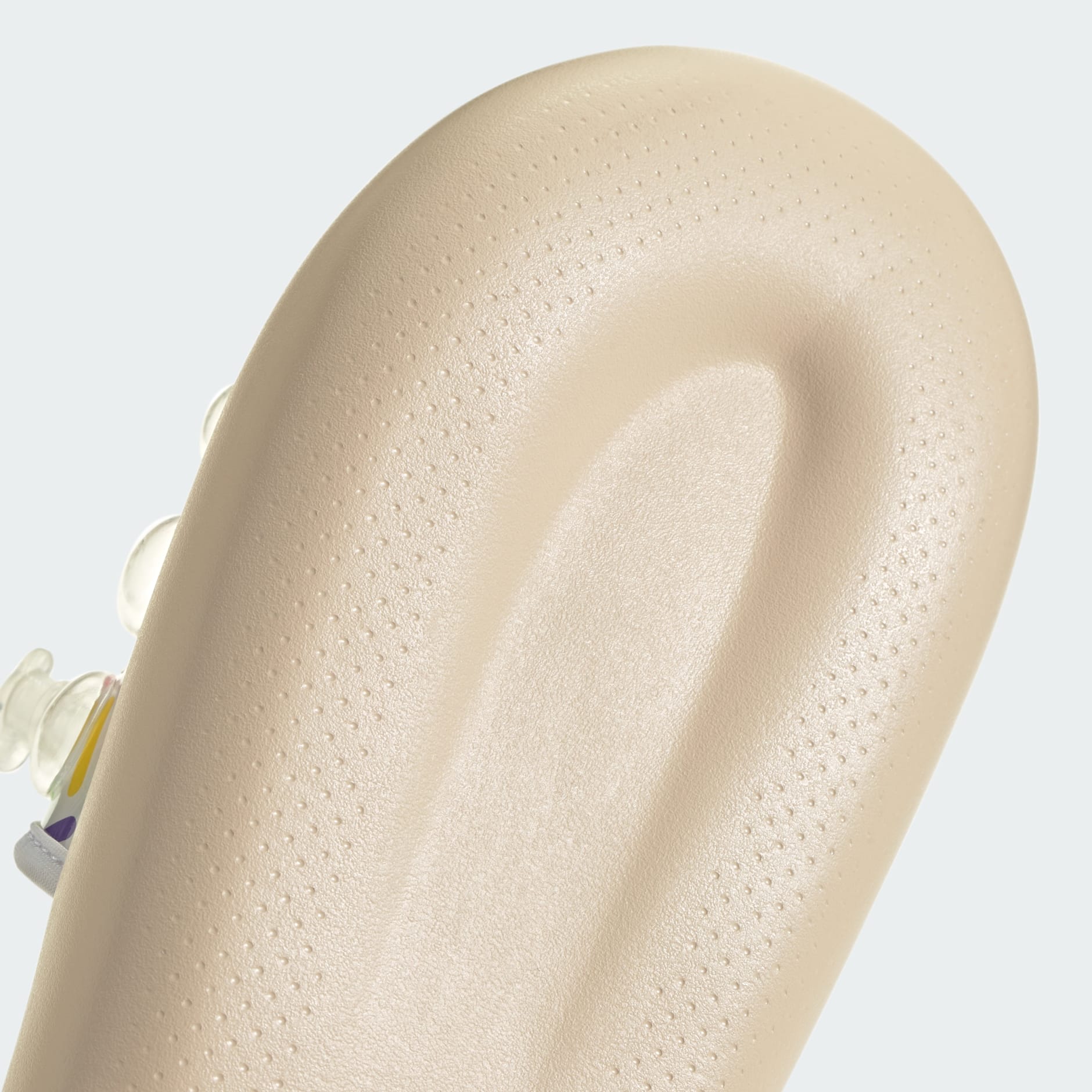 ZPLAASH Slides