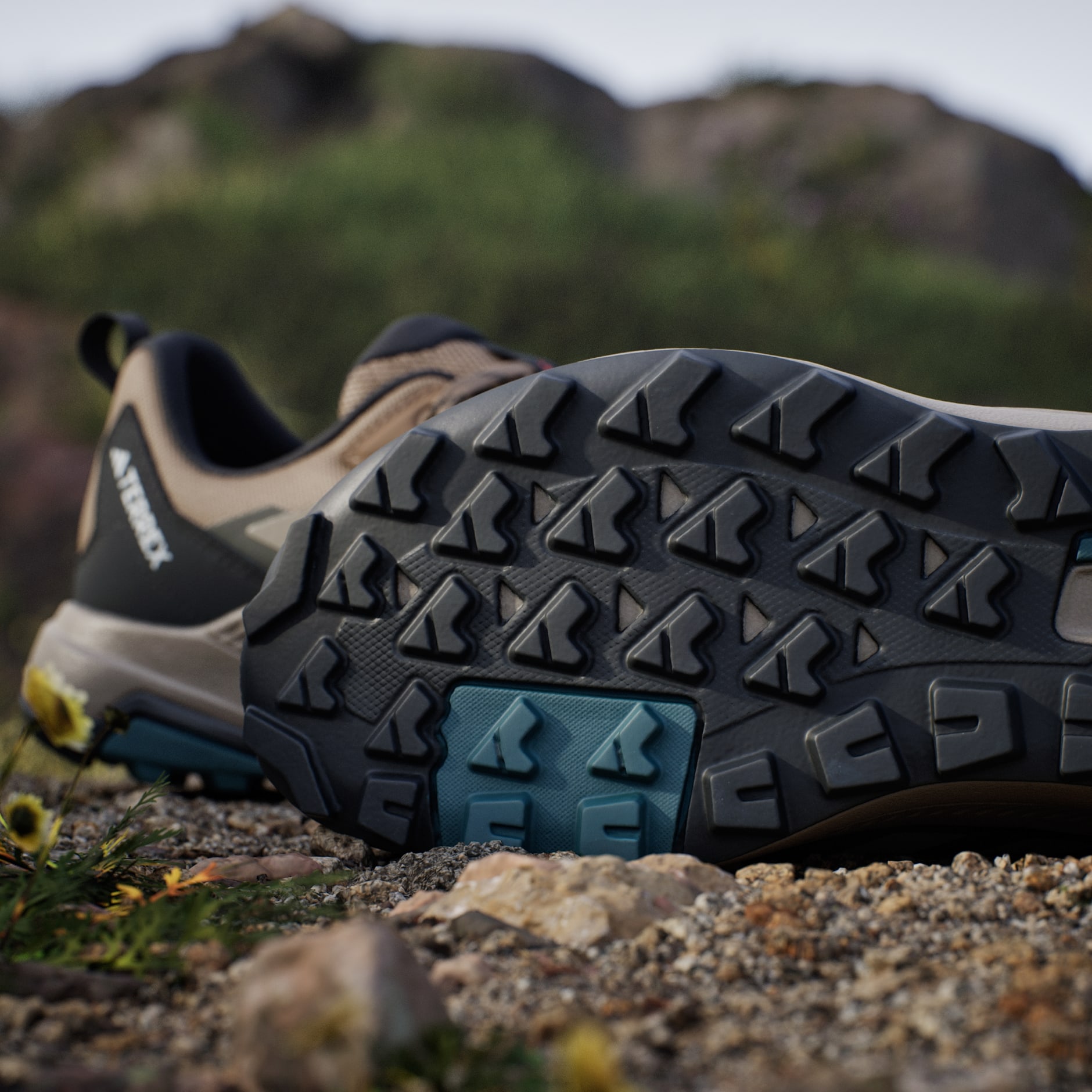 Terrex Anylander Hiking Shoes