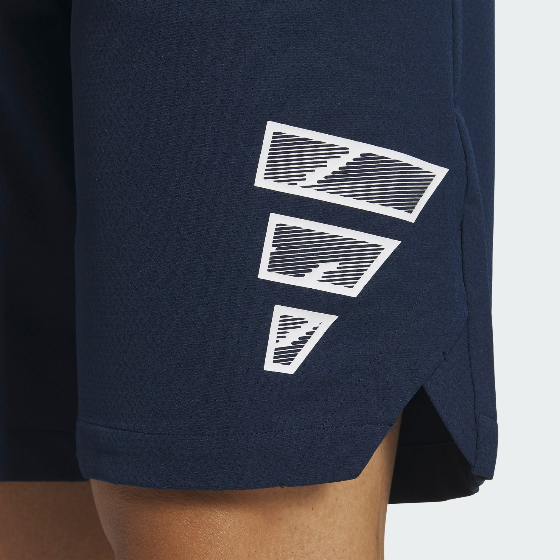 10-INCH SHORTS