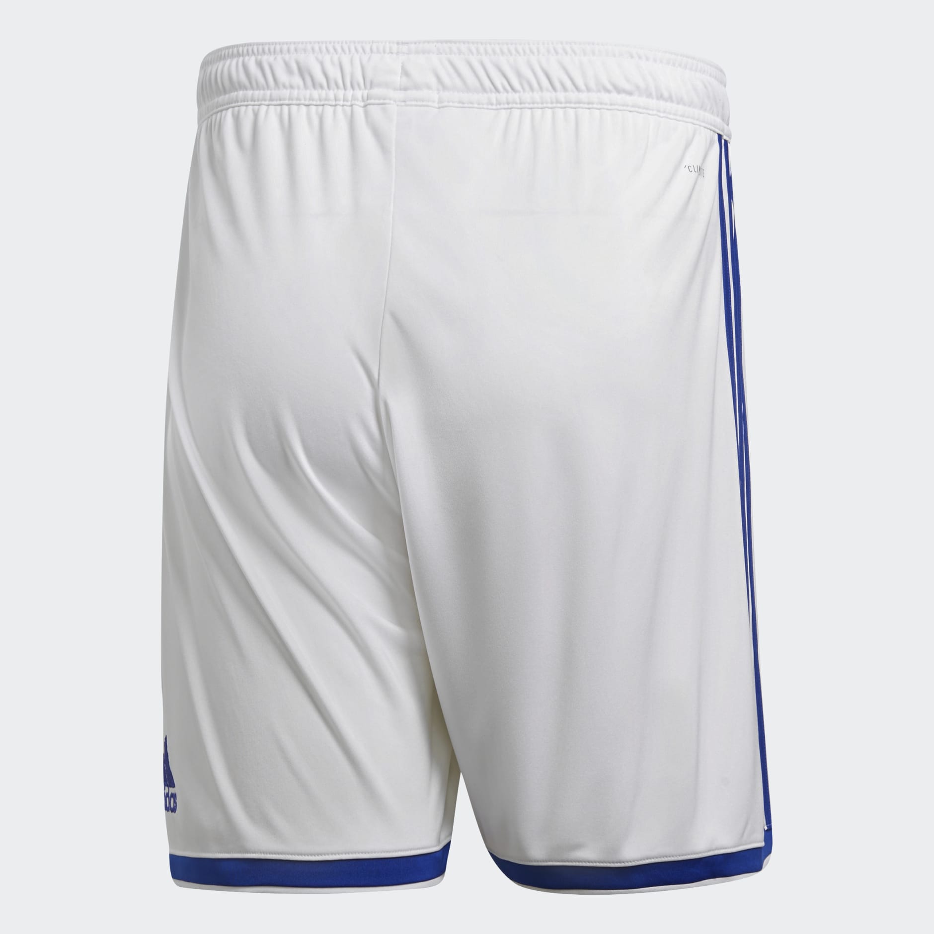 Regista 18 Shorts