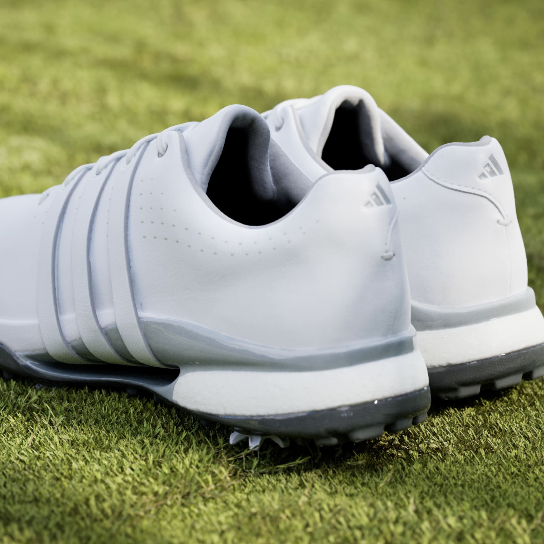 Pantofi de golf Tour360 24