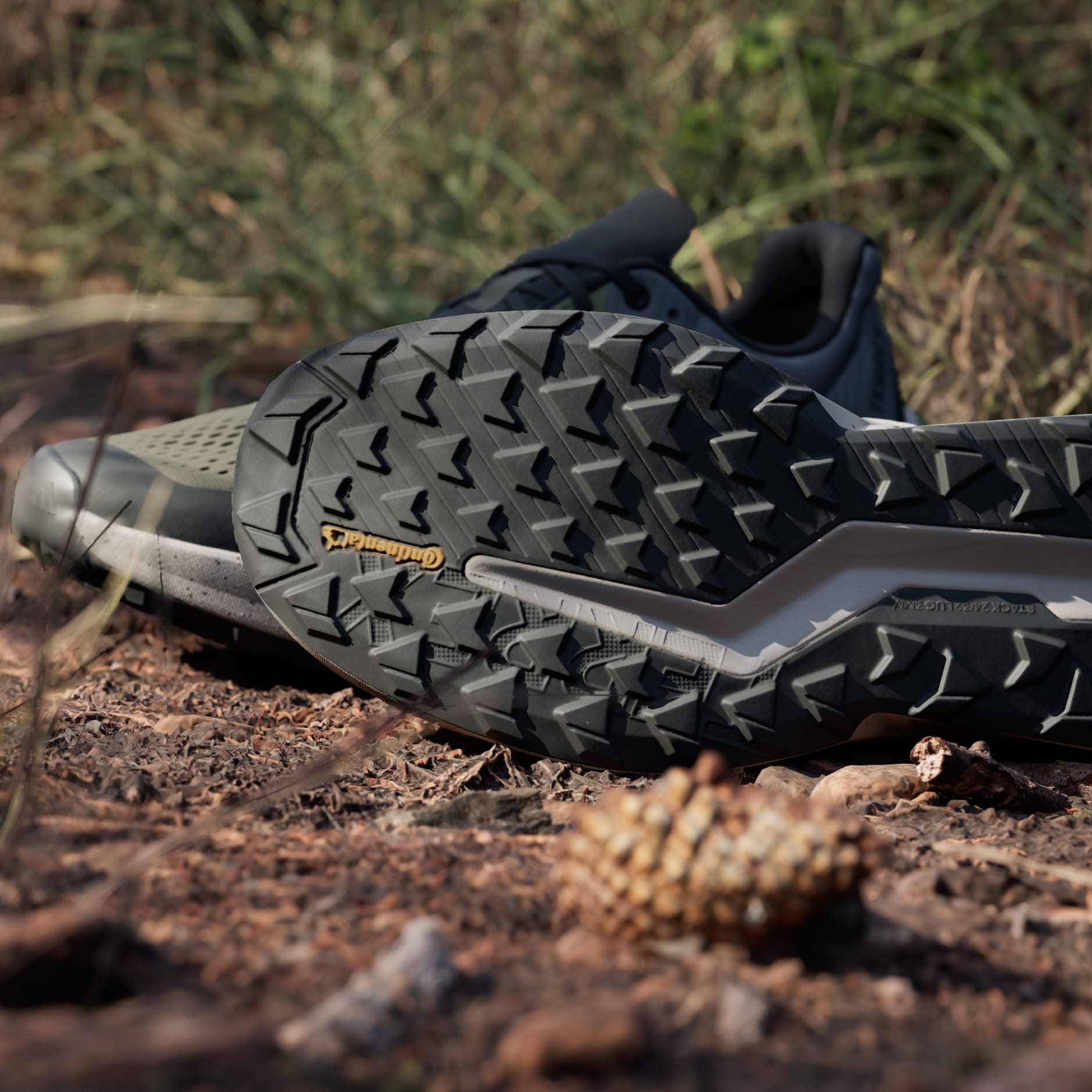 Pantofi de alergare pe poteci TERREX Soulstride Flow