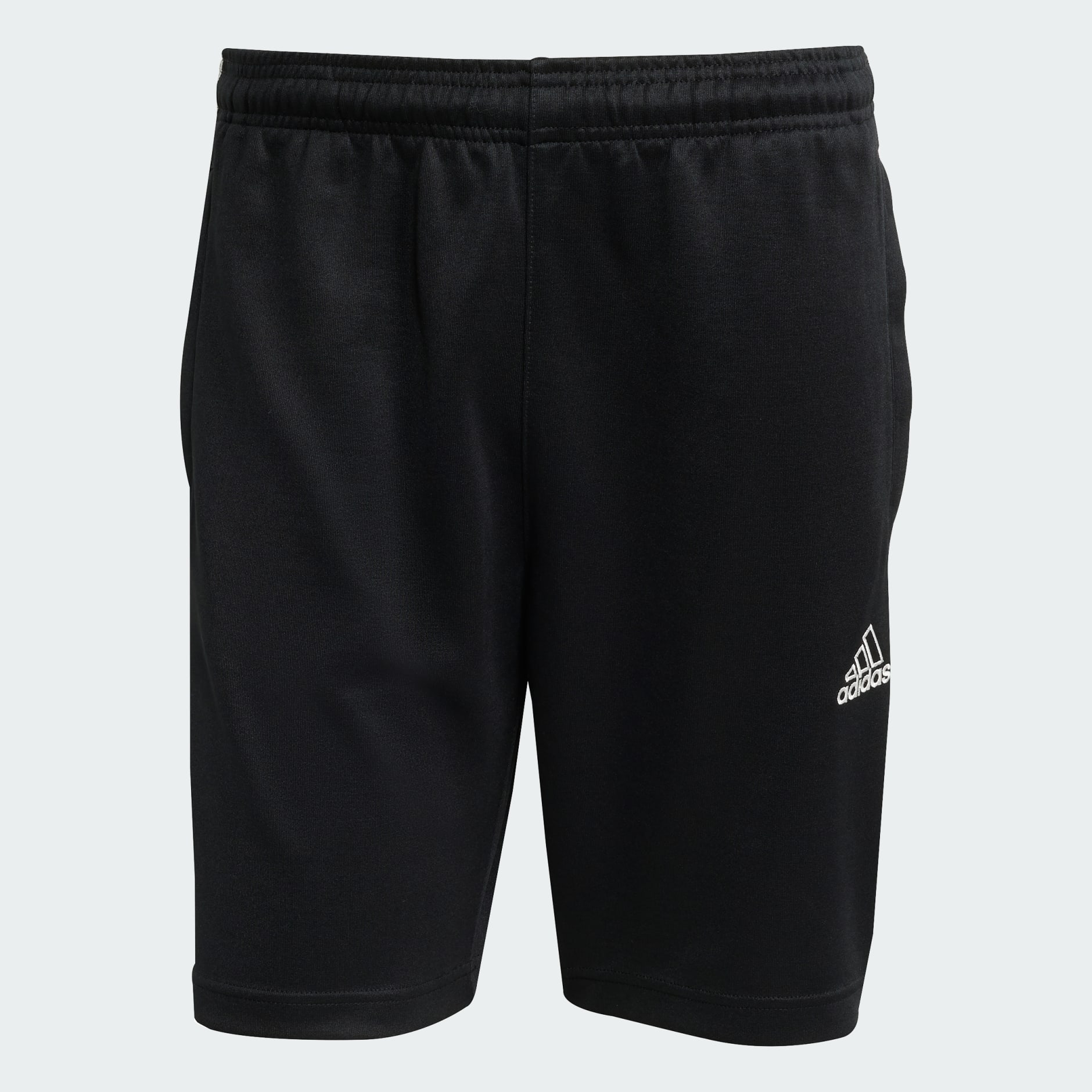 Mesh Stripe Shorts