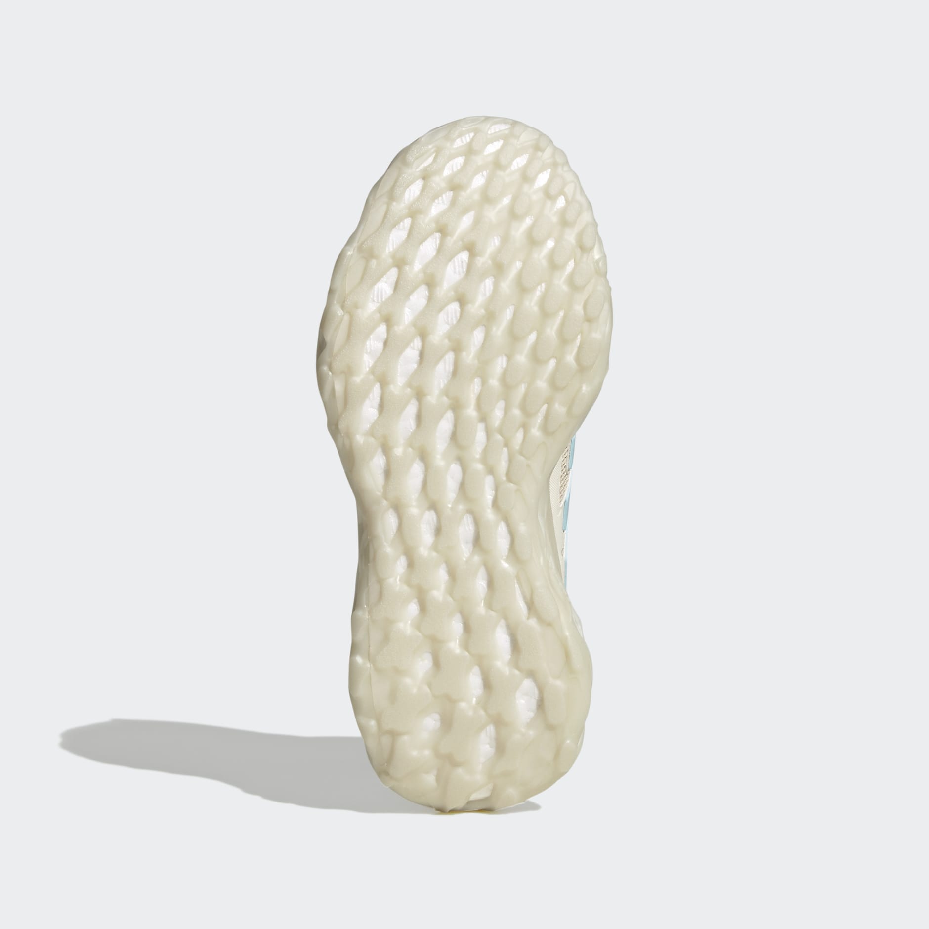 Web BOOST Shoes