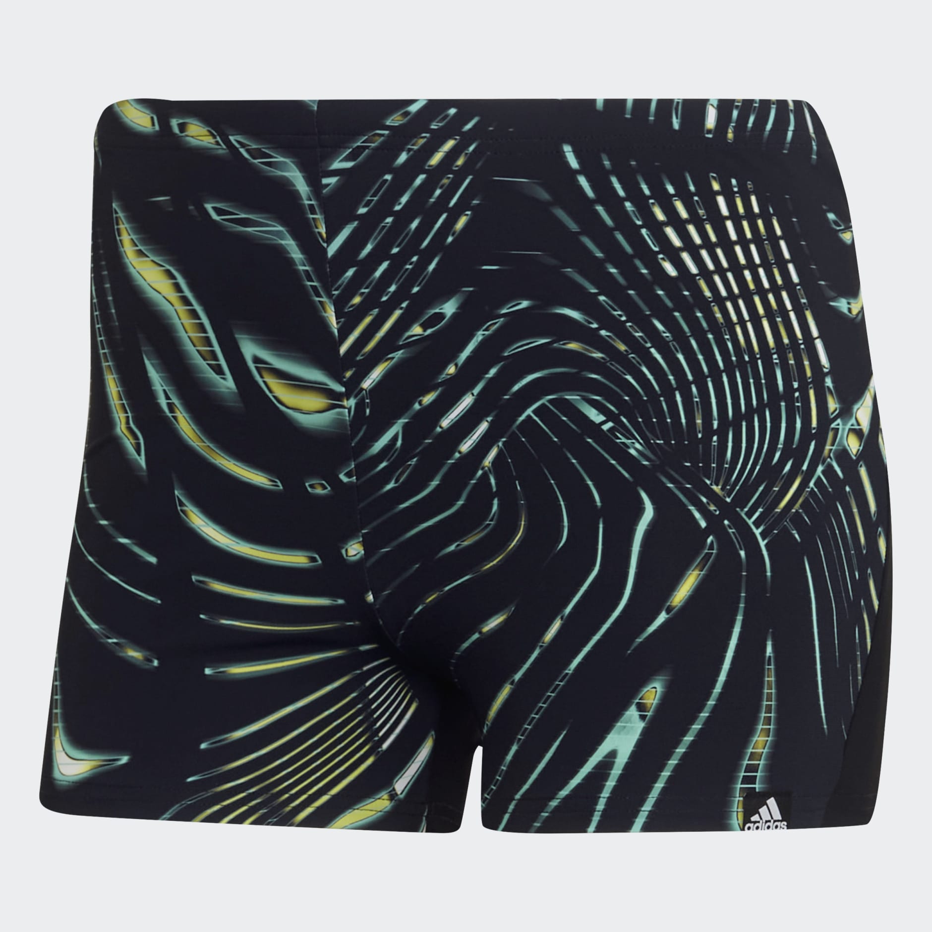 Graphic Souleaf Swim Boxers