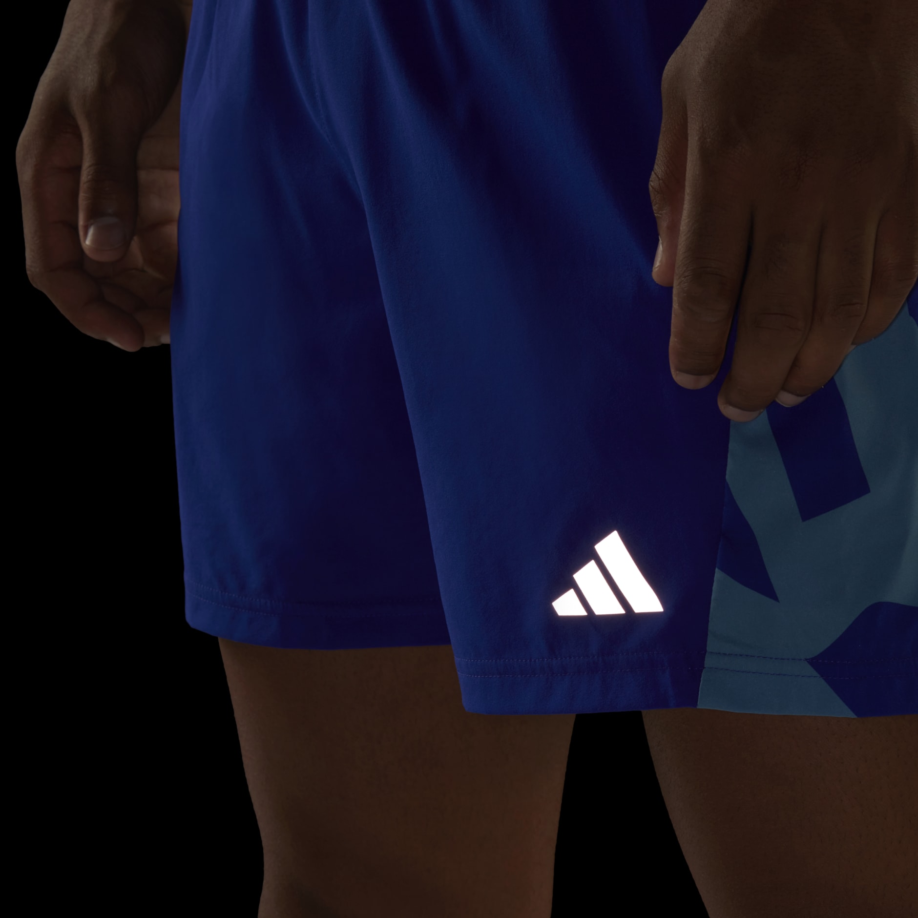 Own the Run Seasonal Shorts