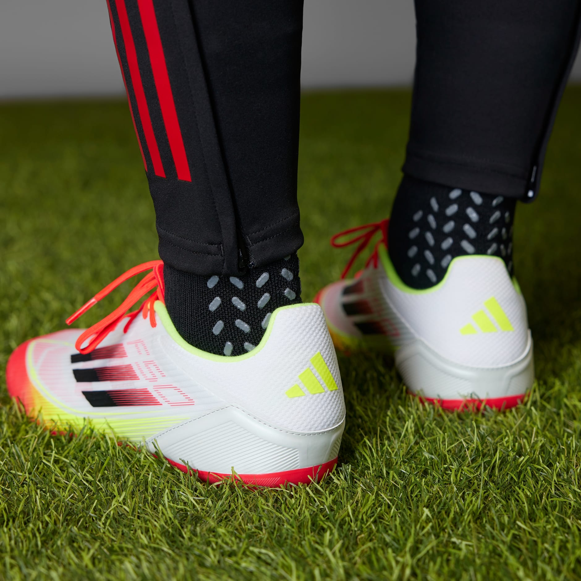 F50 LEAGUE FG/MG