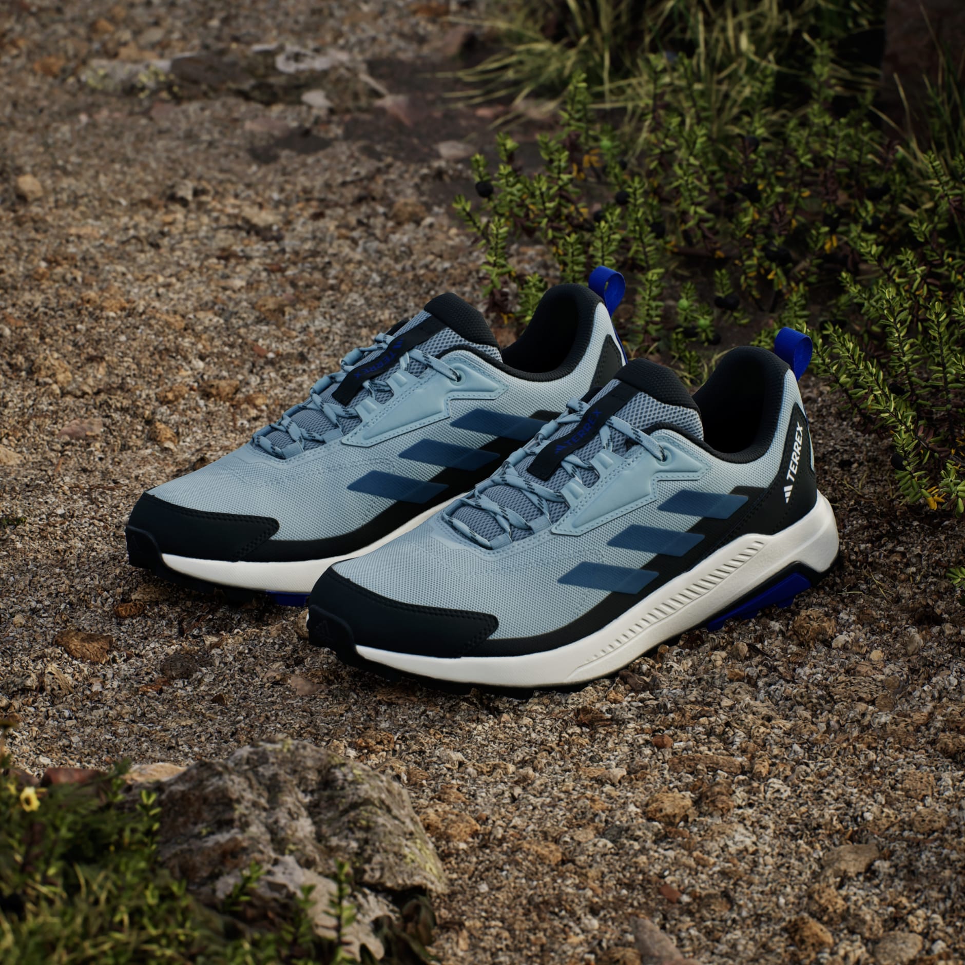 Terrex Anylander Hiking Shoes