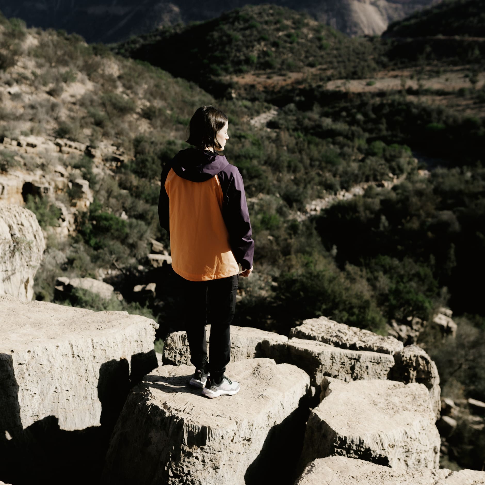 Terrex Multi 2L RAIN.RDY Jacket