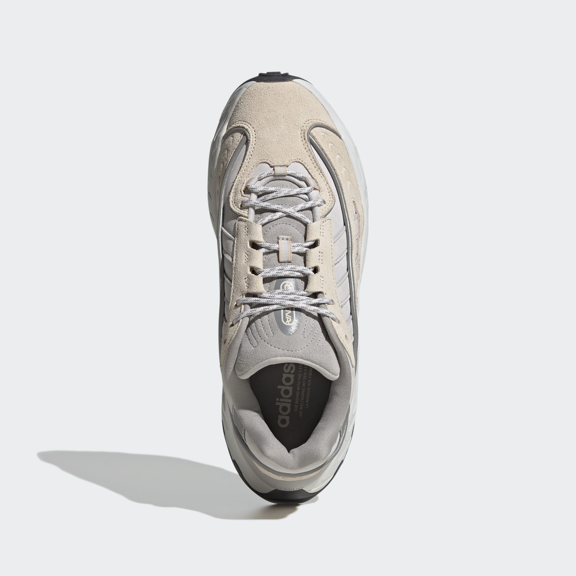 OZNOVA Shoes