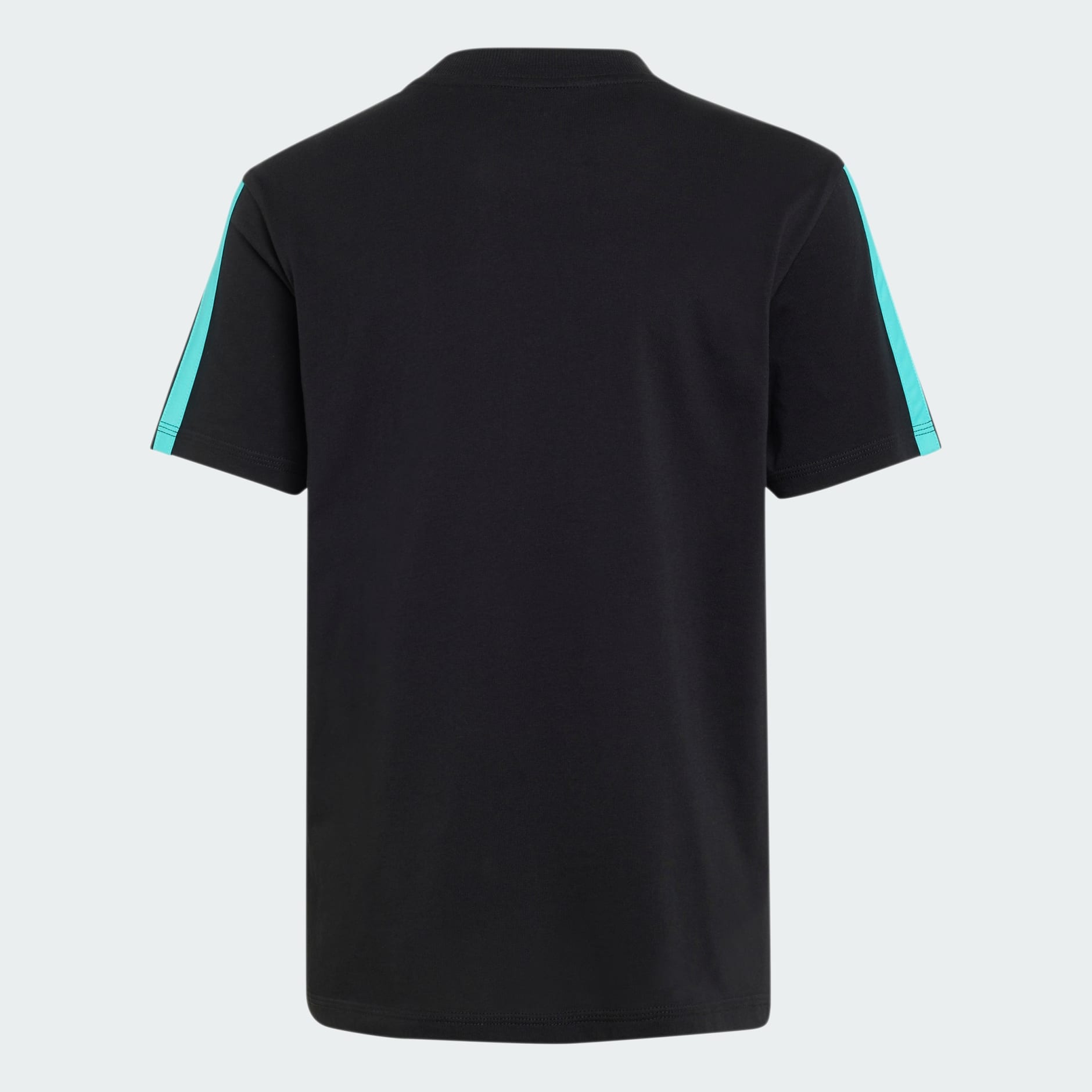 MERCEDES - AMG PETRONAS FORMULA 1 TEAM DNA TEE