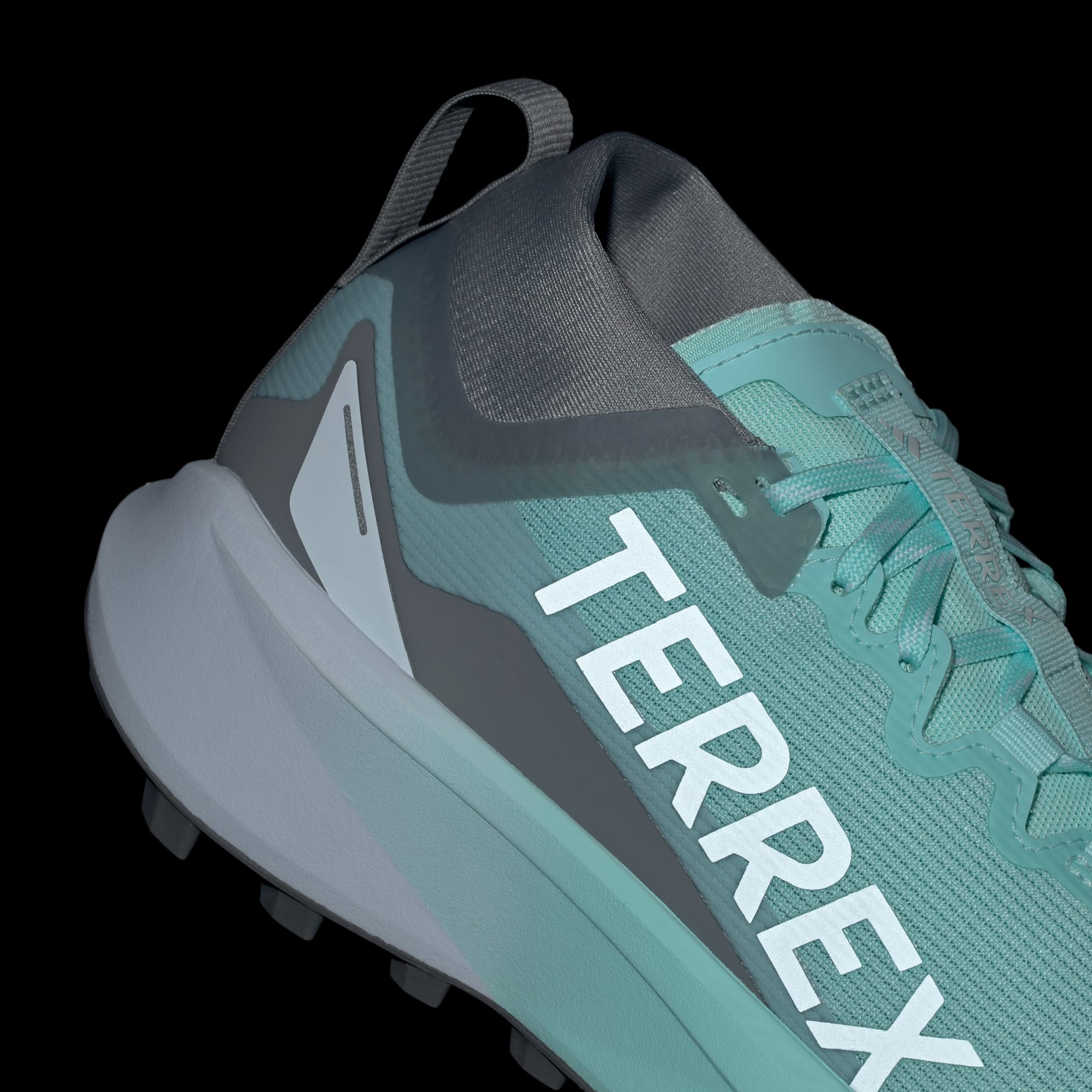 Tenisice za trail trčanje Terrex Agravic GTX