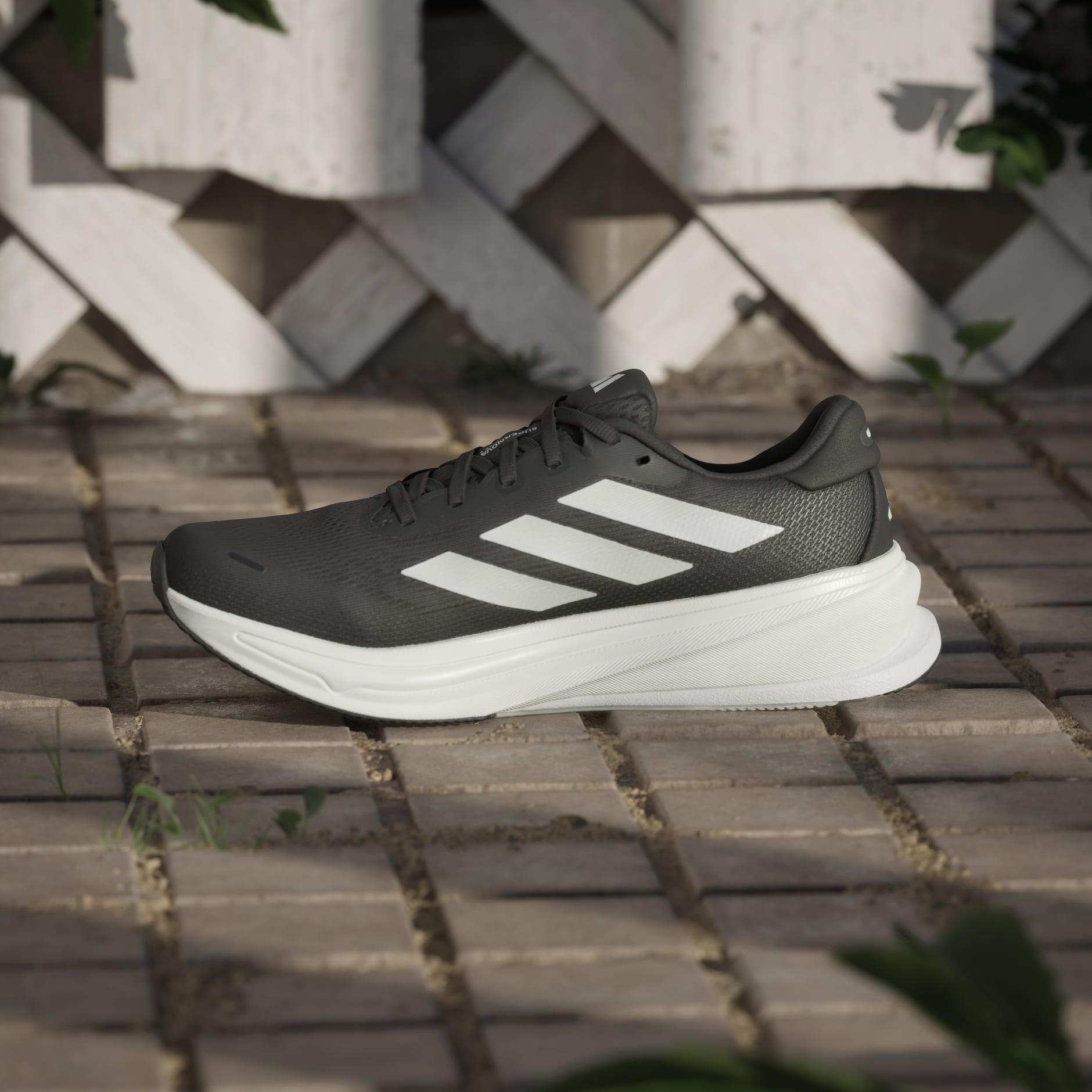 حذاء Supernova Rise 2 Running