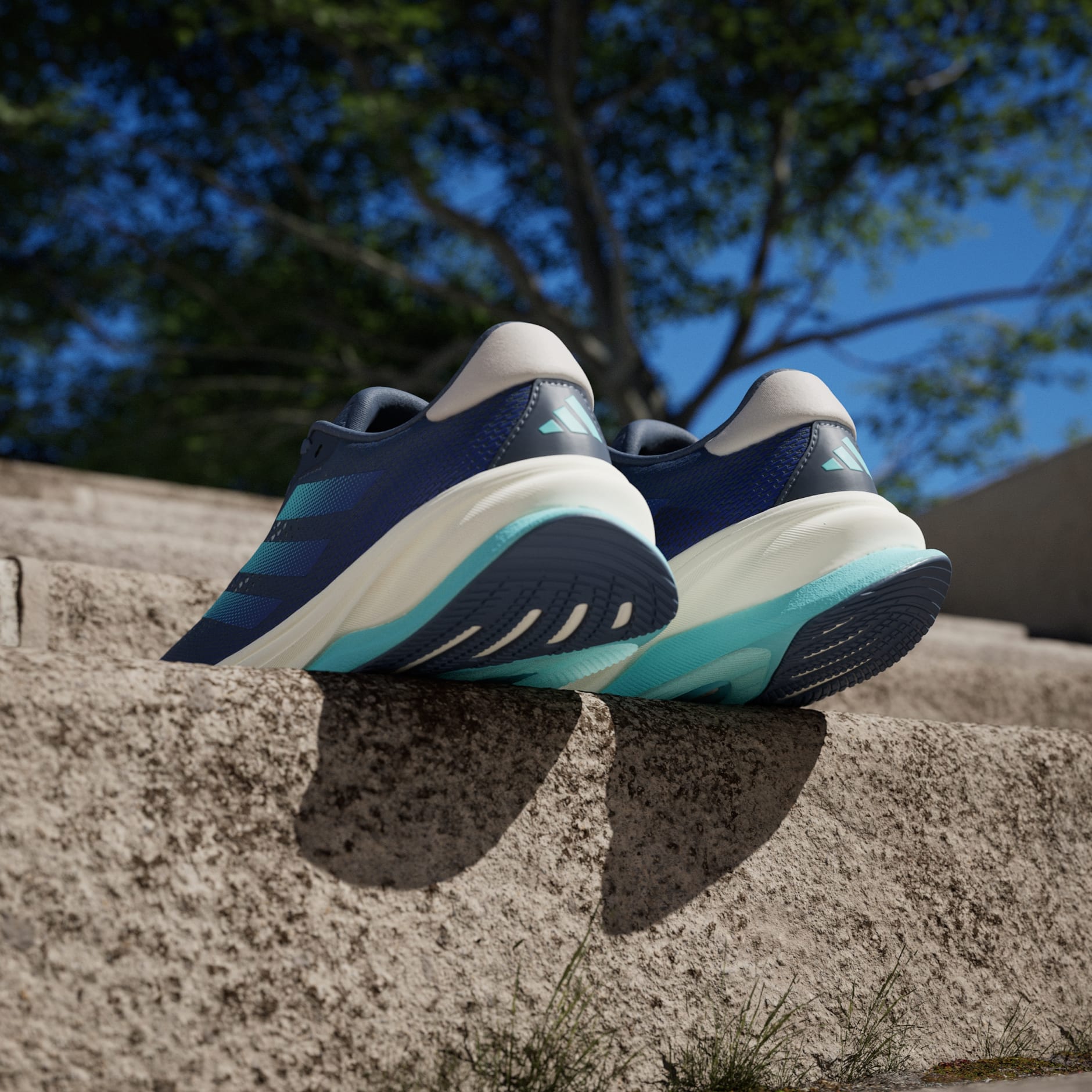 Supernova Solution Running Shoes