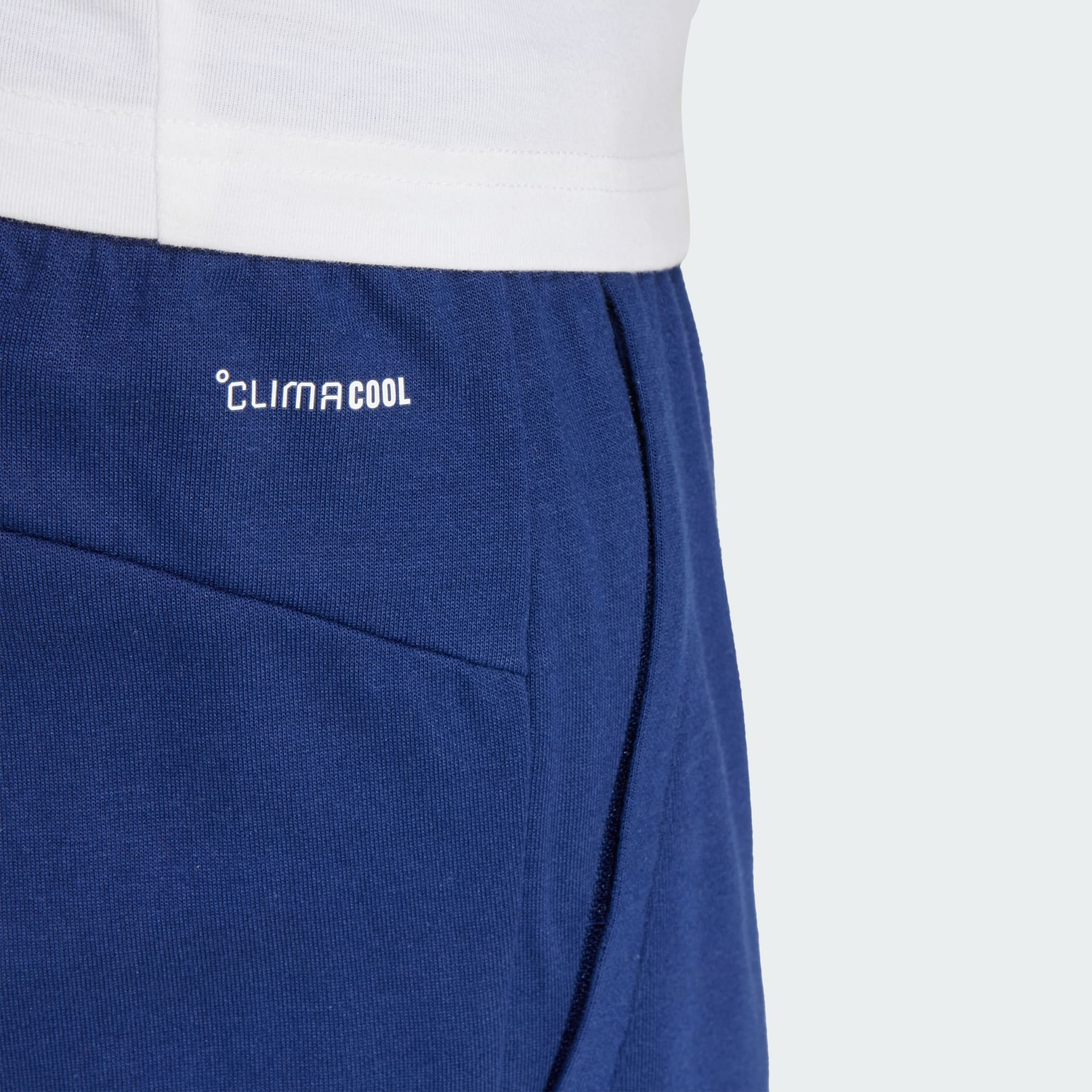 Train Essentials Feelready Shorts