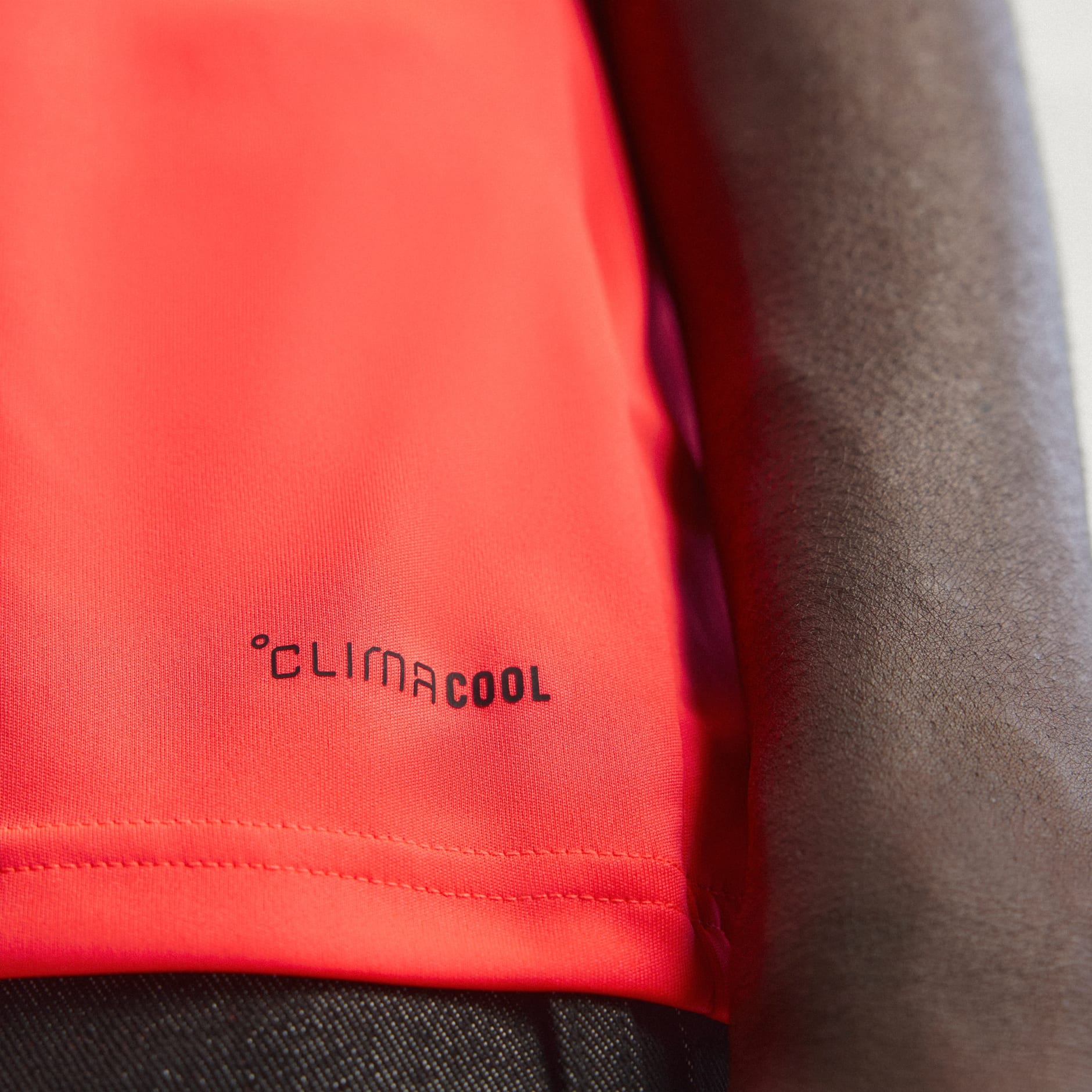 AUDI REVOLUT F1 TEAM SET UP TEE