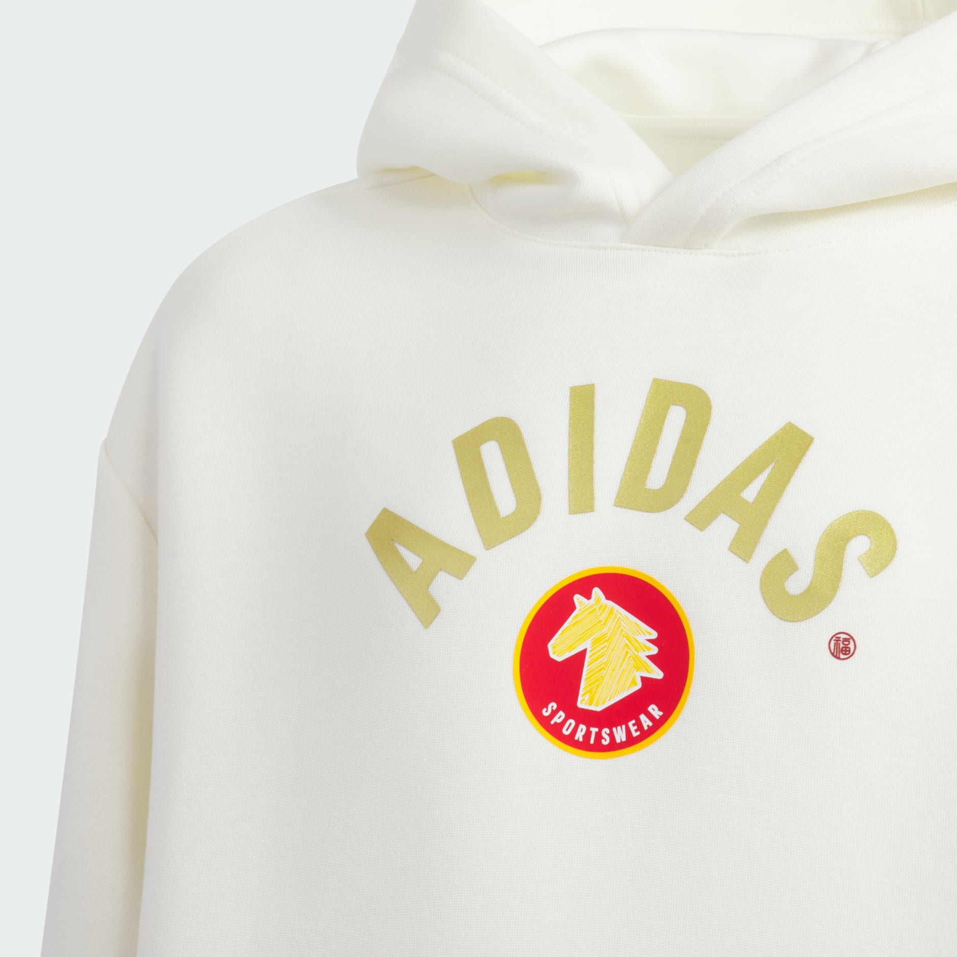 SPORTSWEAR Junior Boy Knitted Hoodie