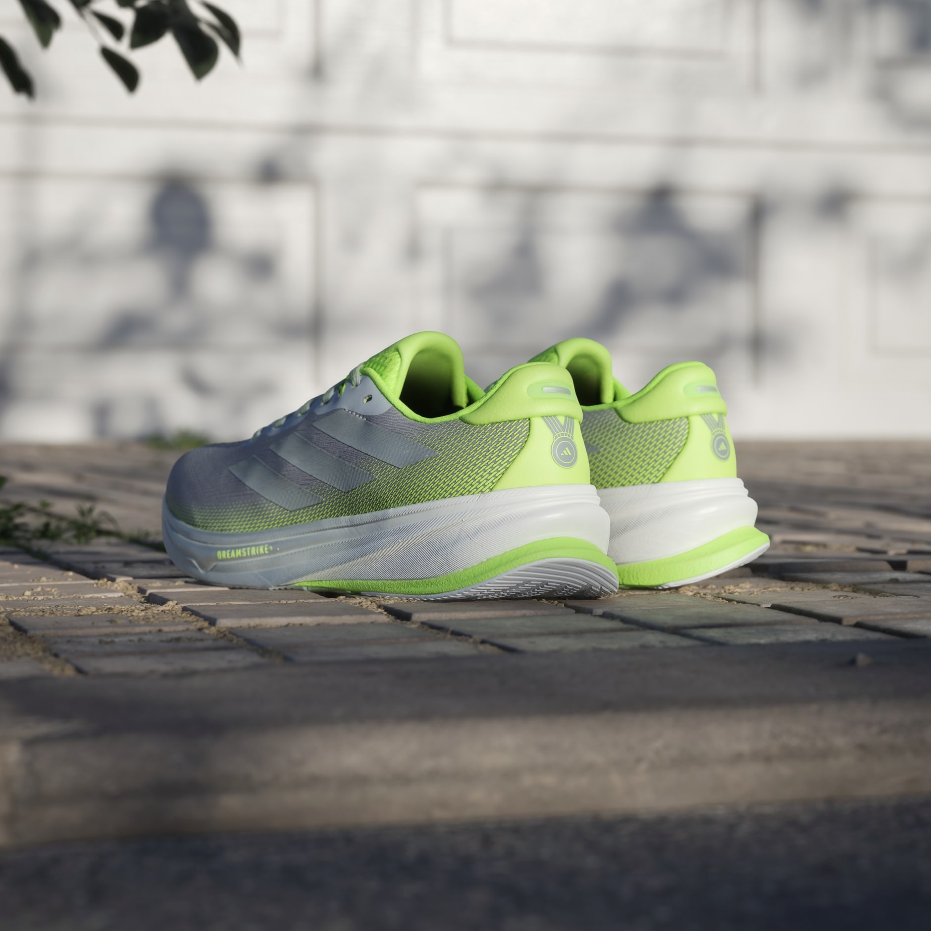 Pantofi de alergare Supernova Rise 2