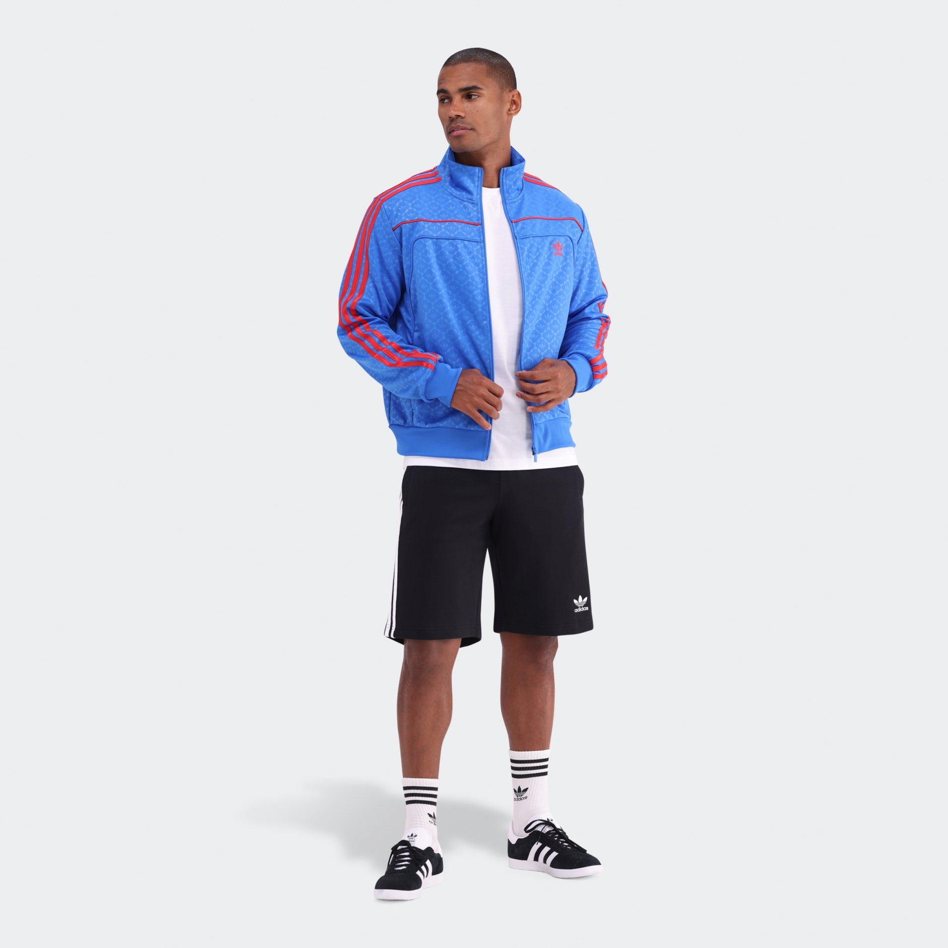 Adicolor 3-Stripes Shorts