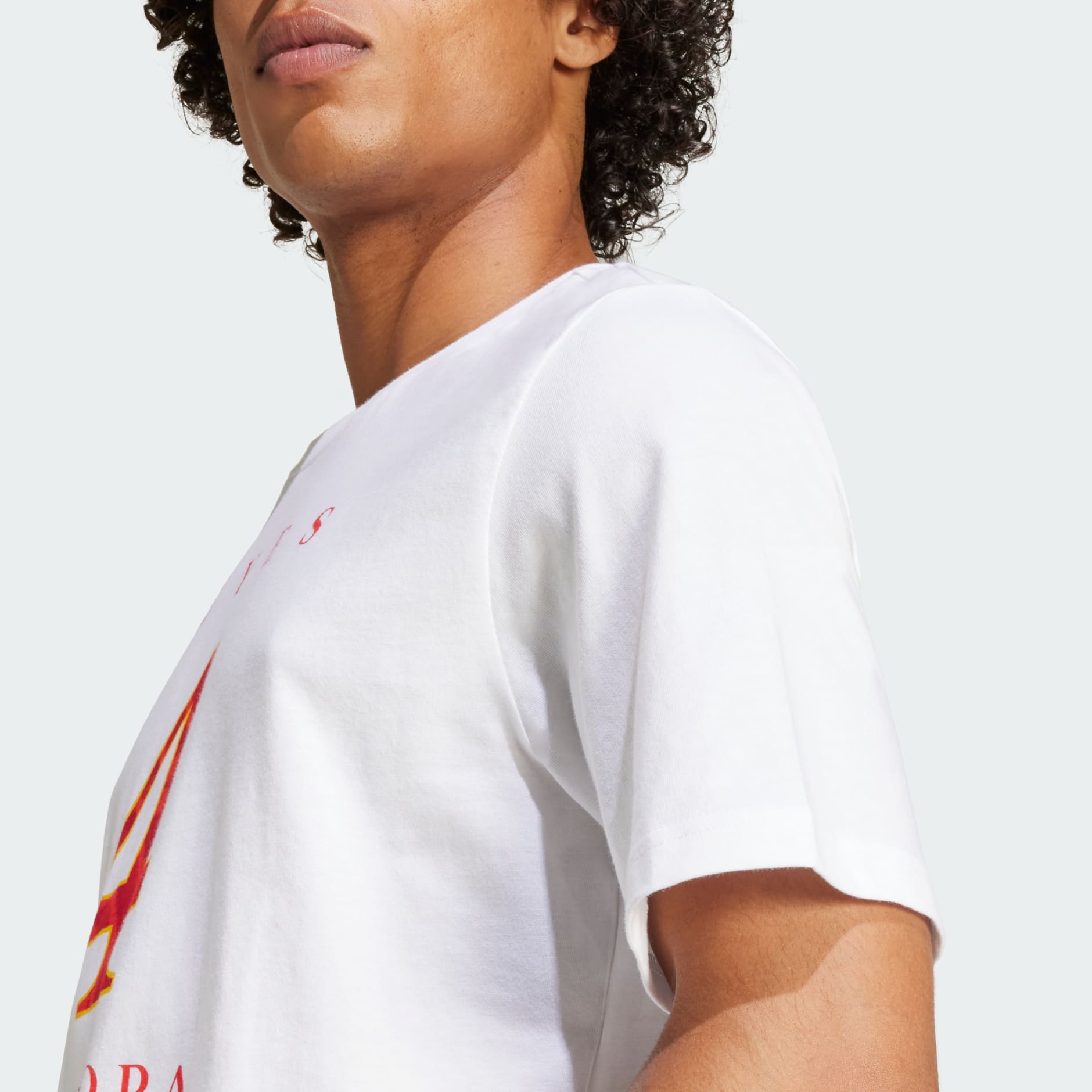 Tricou Spain Winners