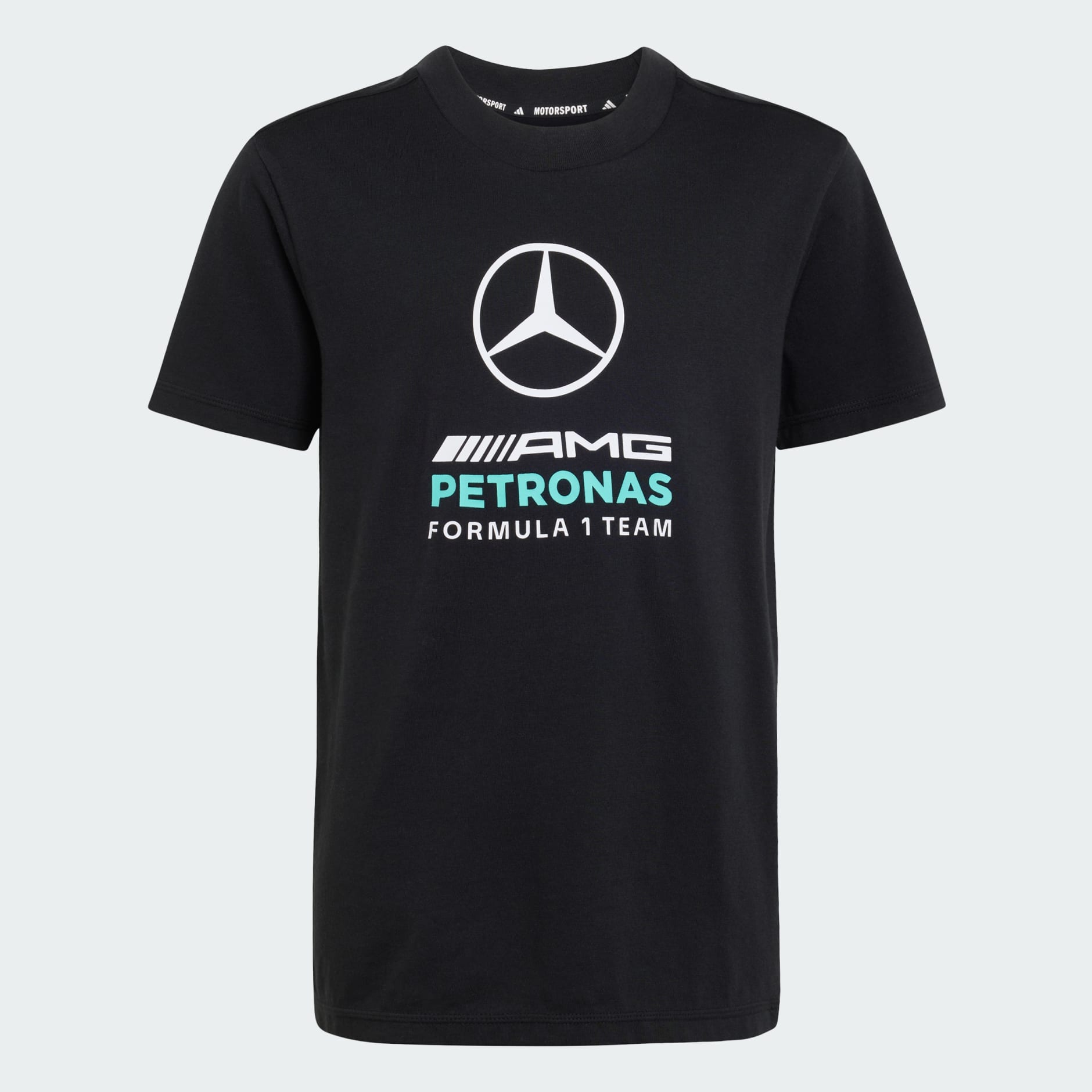 MERCEDES - AMG PETRONAS FORMULA 1 TEAM DNA GRAPHIC TEE