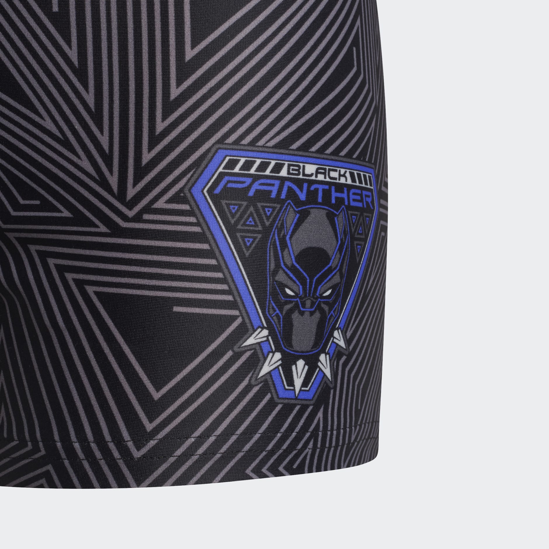 Marvel Black Panther Swim Briefs