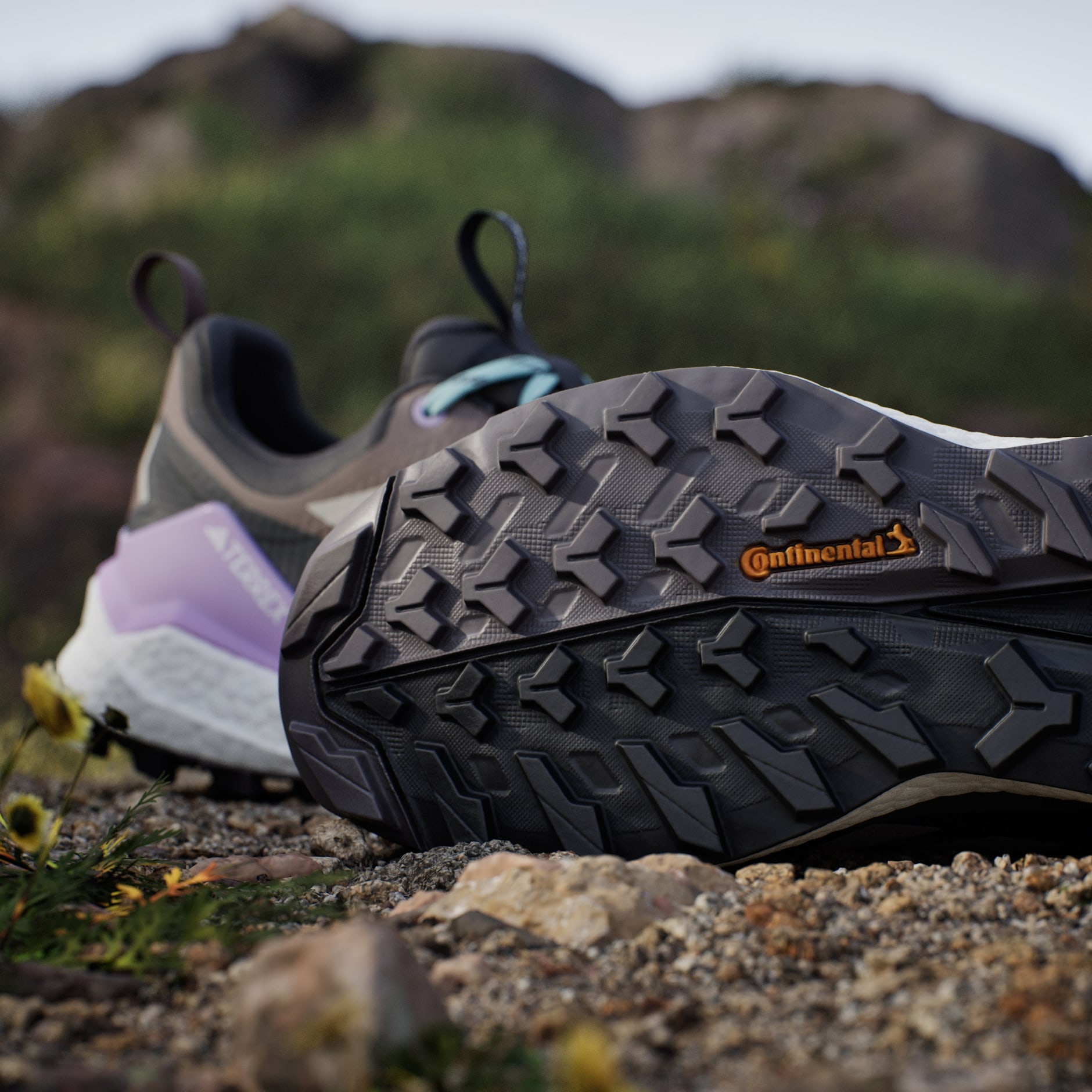 Pantofi de Drumeție Terrex Free Hiker 2.0 Low Gore-Tex
