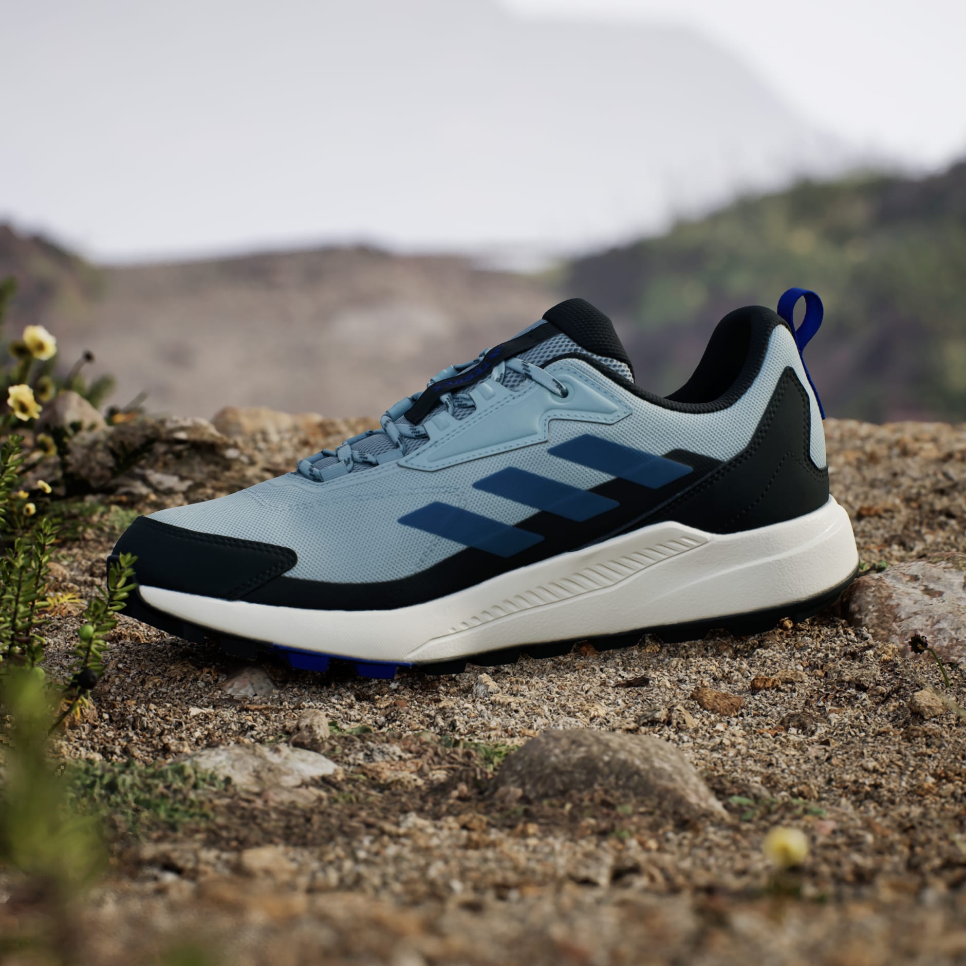 Terrex Anylander Hiking Shoes