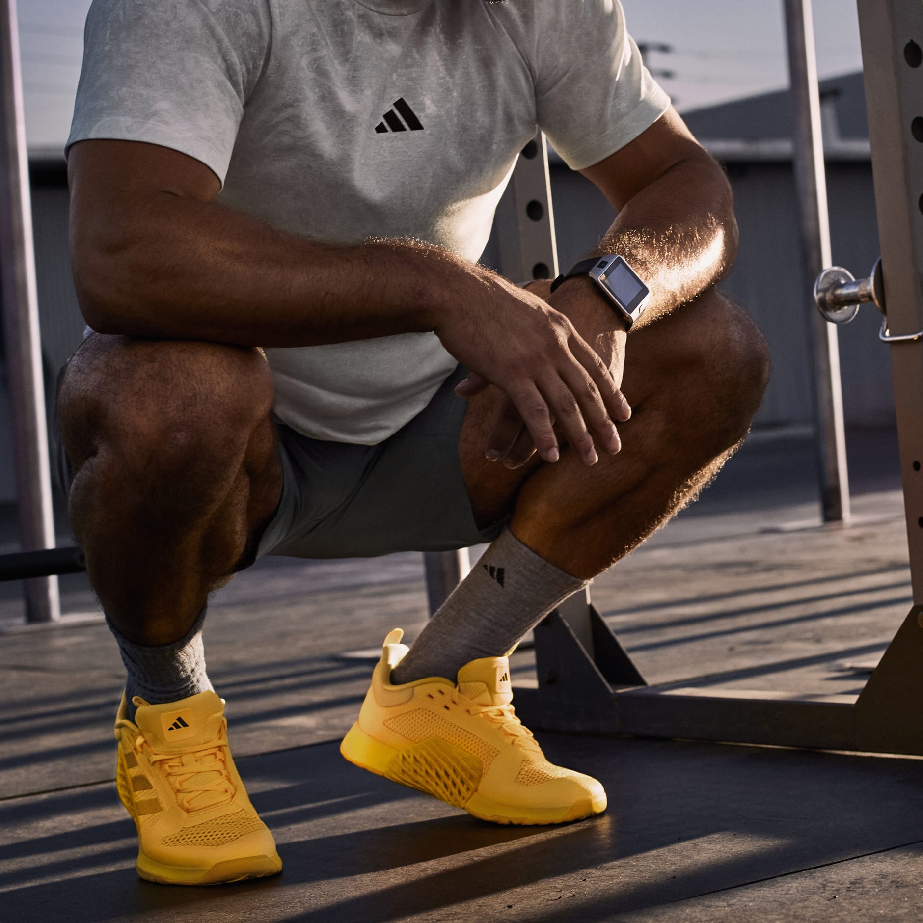 Dropset 2 Trainer