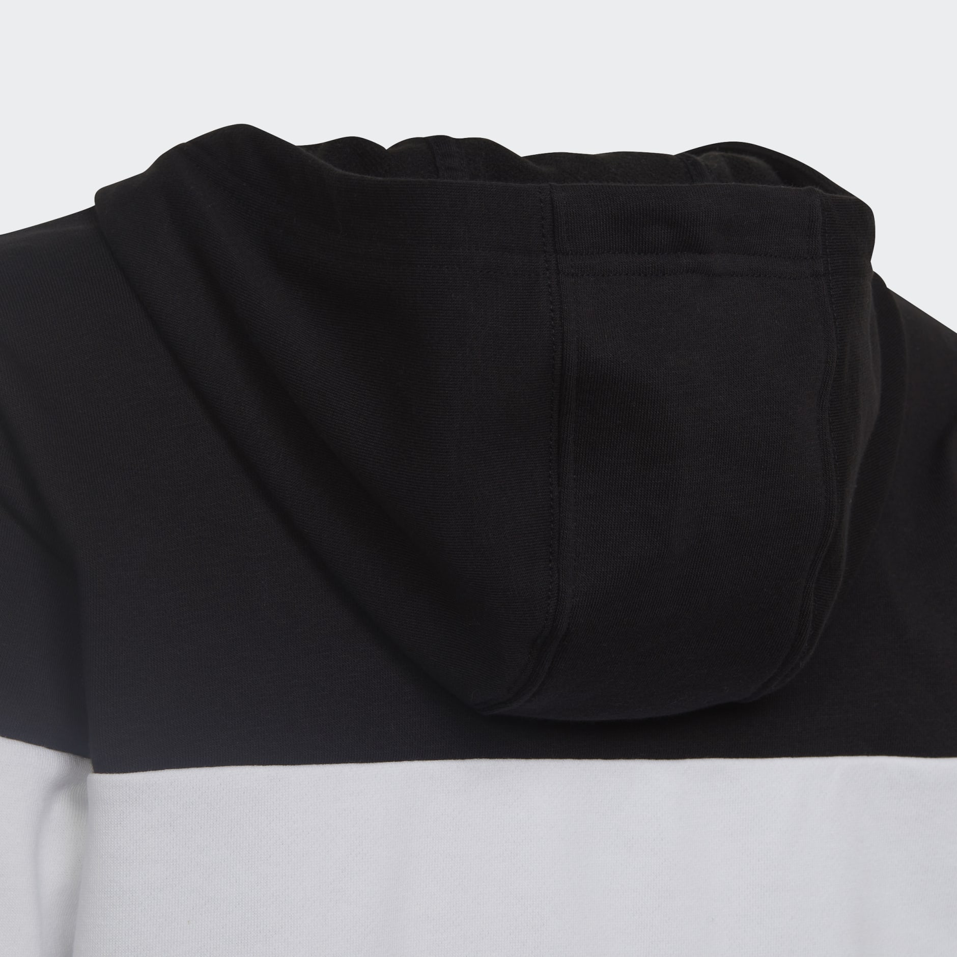 Colorblock Fleece Hoodie