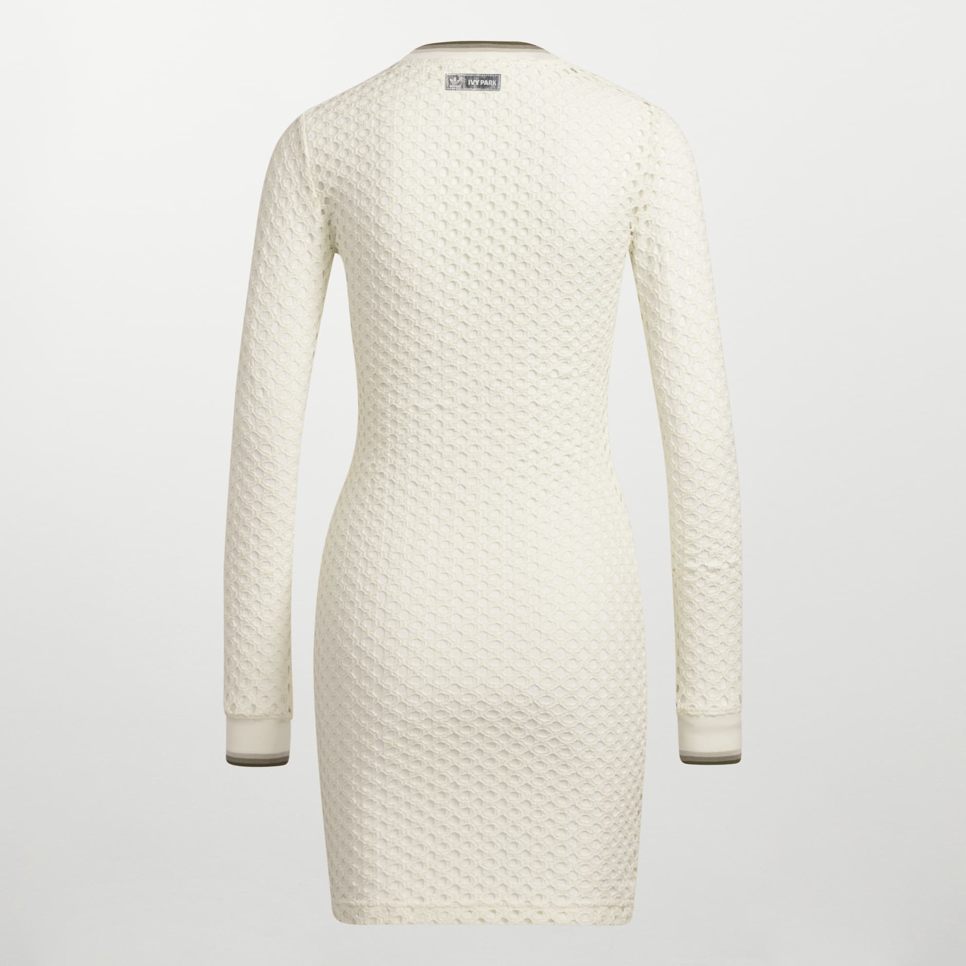 Open Mesh Long Sleeve Mini Dress