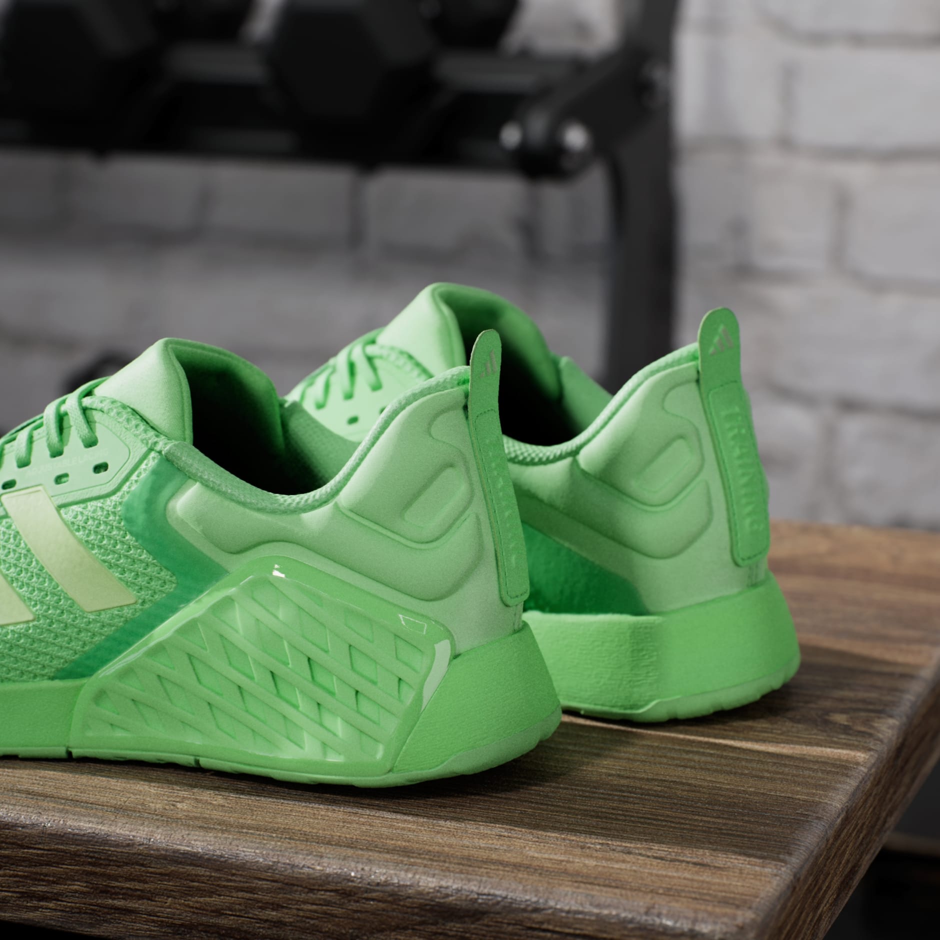 حذاء Dropset 3 Training