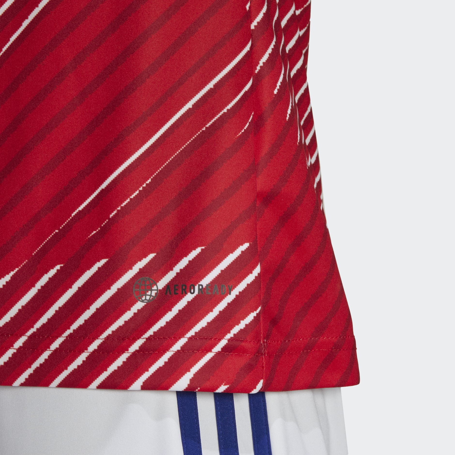 Camiseta Prepartido Japón