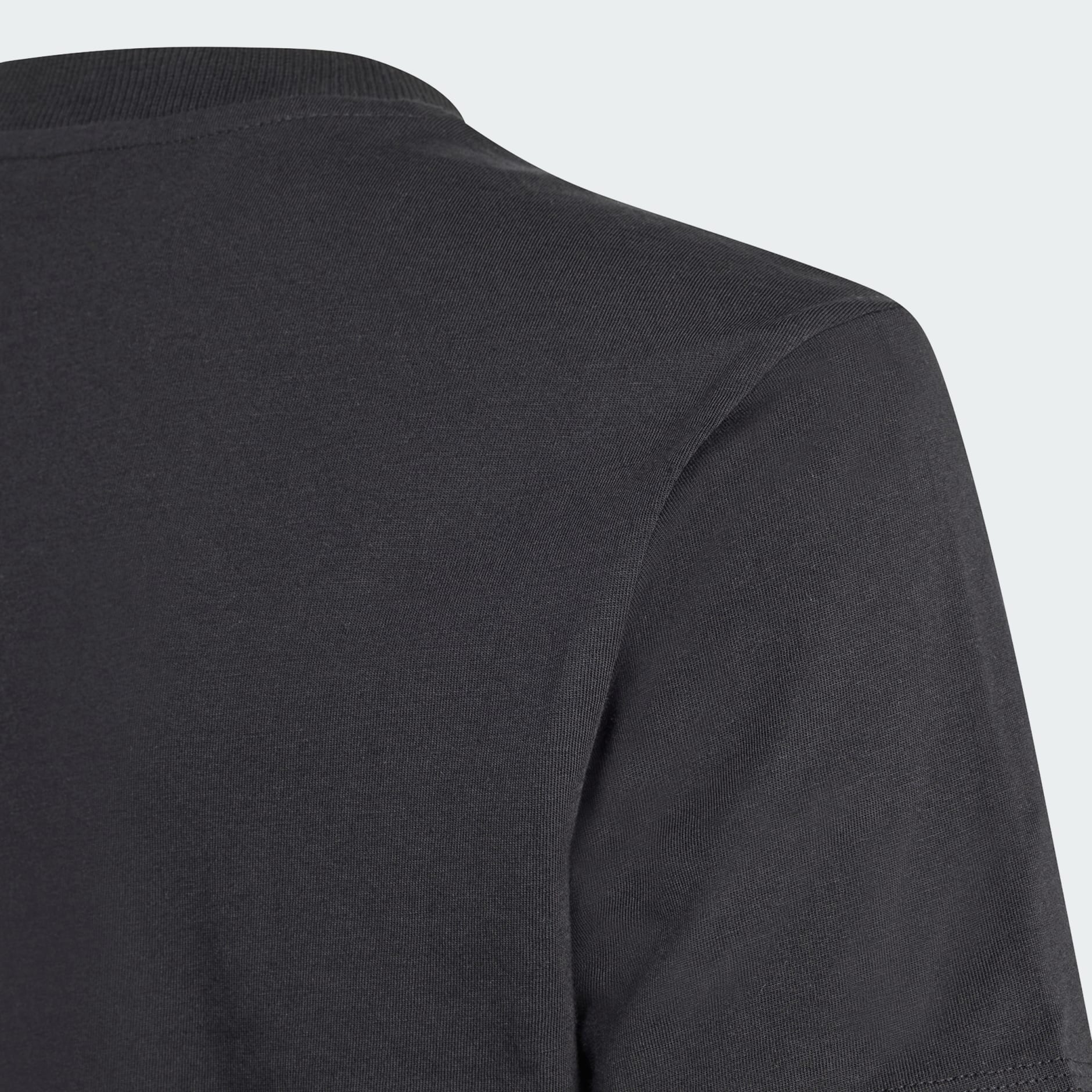 تيشيرت Mercedes - AMG Petronas Formula One Team Graphic