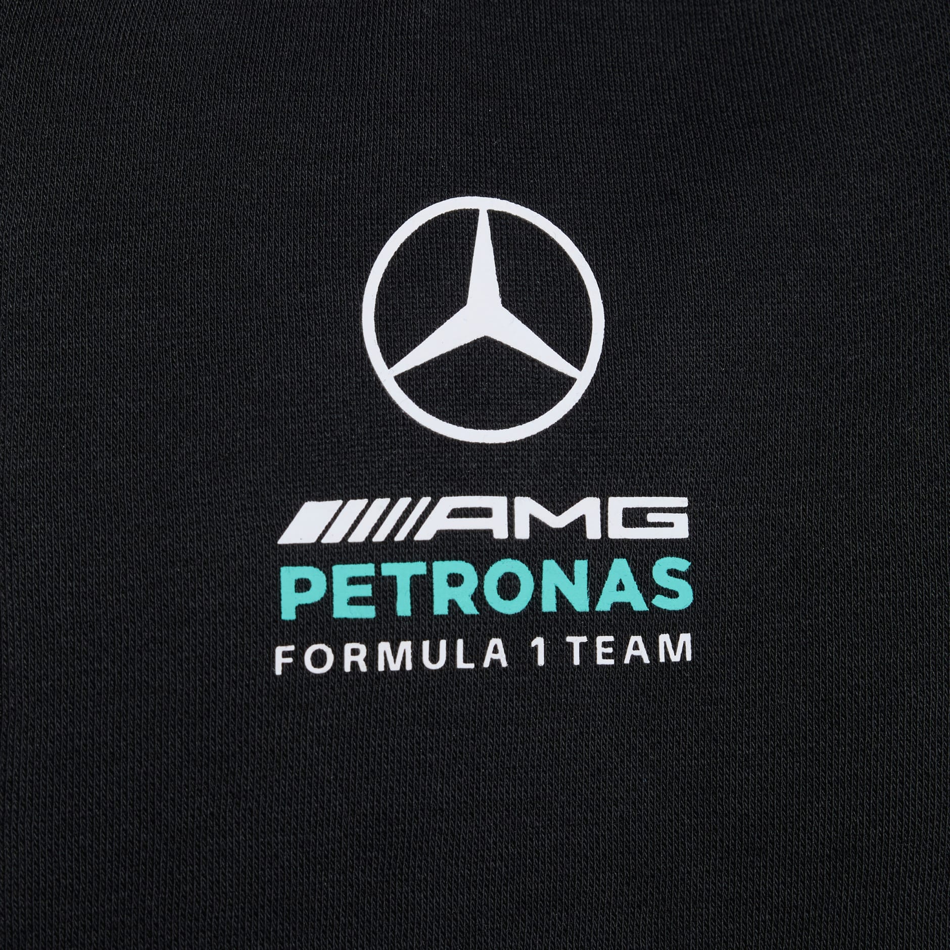 MERCEDES - AMG PETRONAS FORMULA 1 TEAM DNA FULL ZIP HOODY