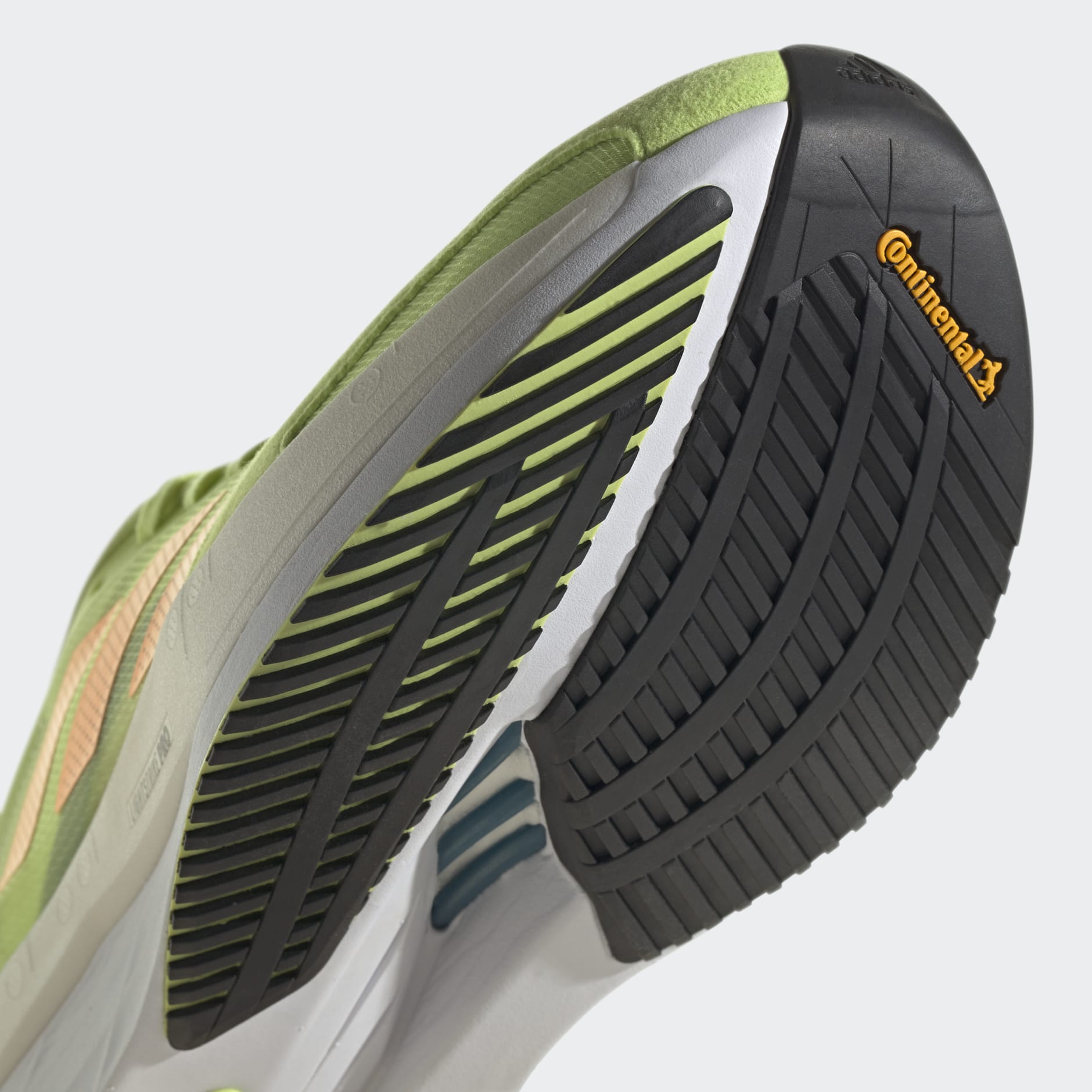adizero boston 10 release date