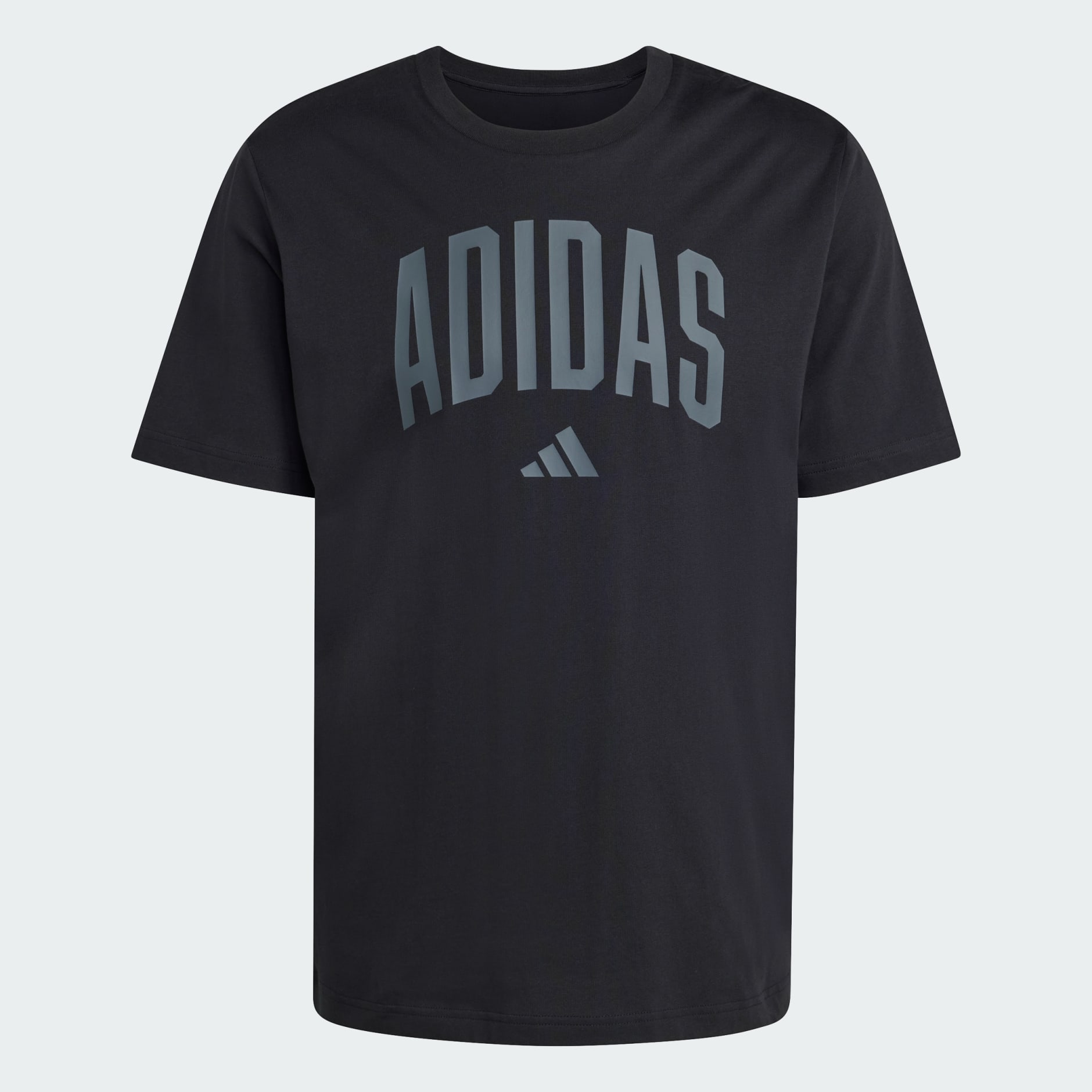 Collegiate Lineage Graphic Tee