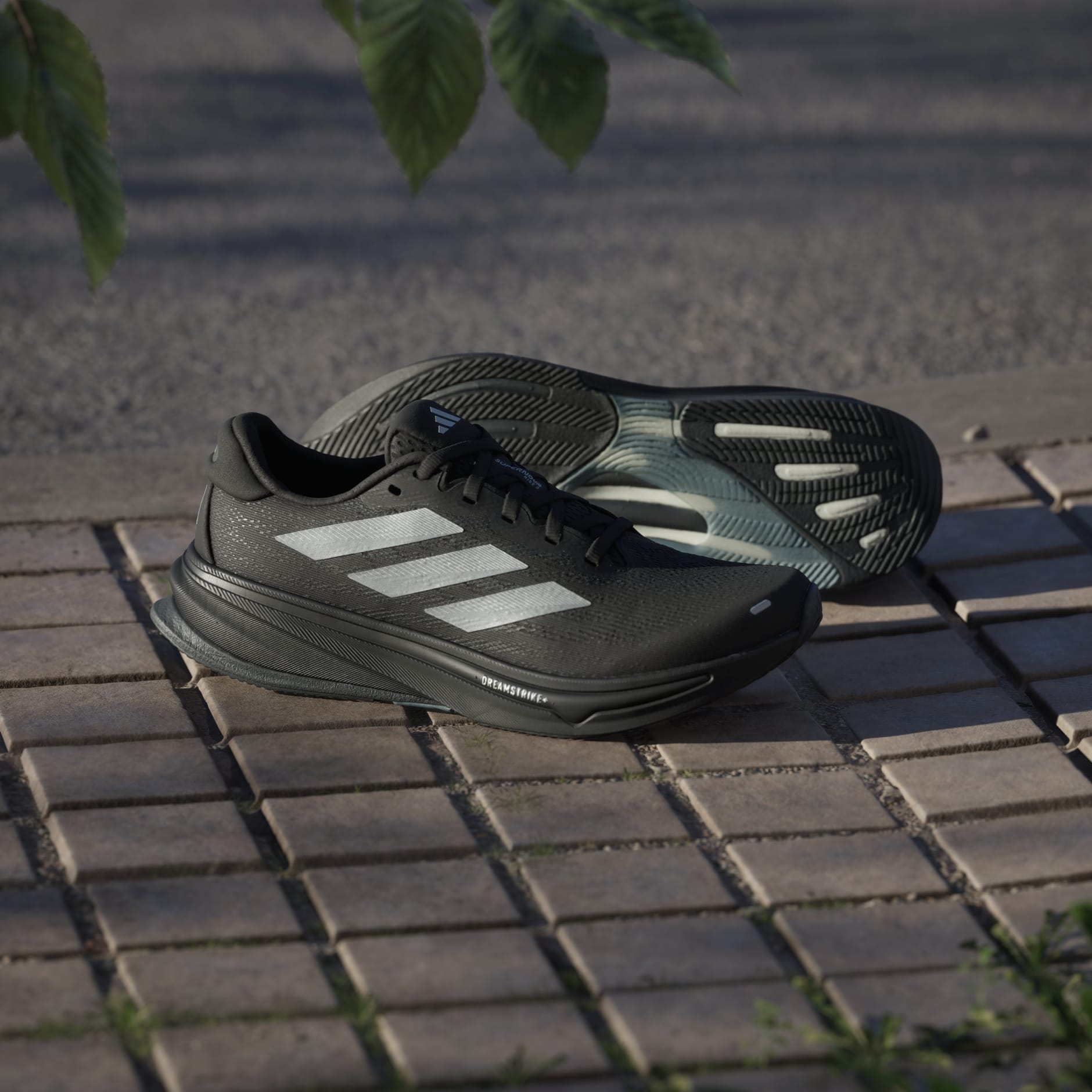 Pantofi de alergare Supernova Rise 2