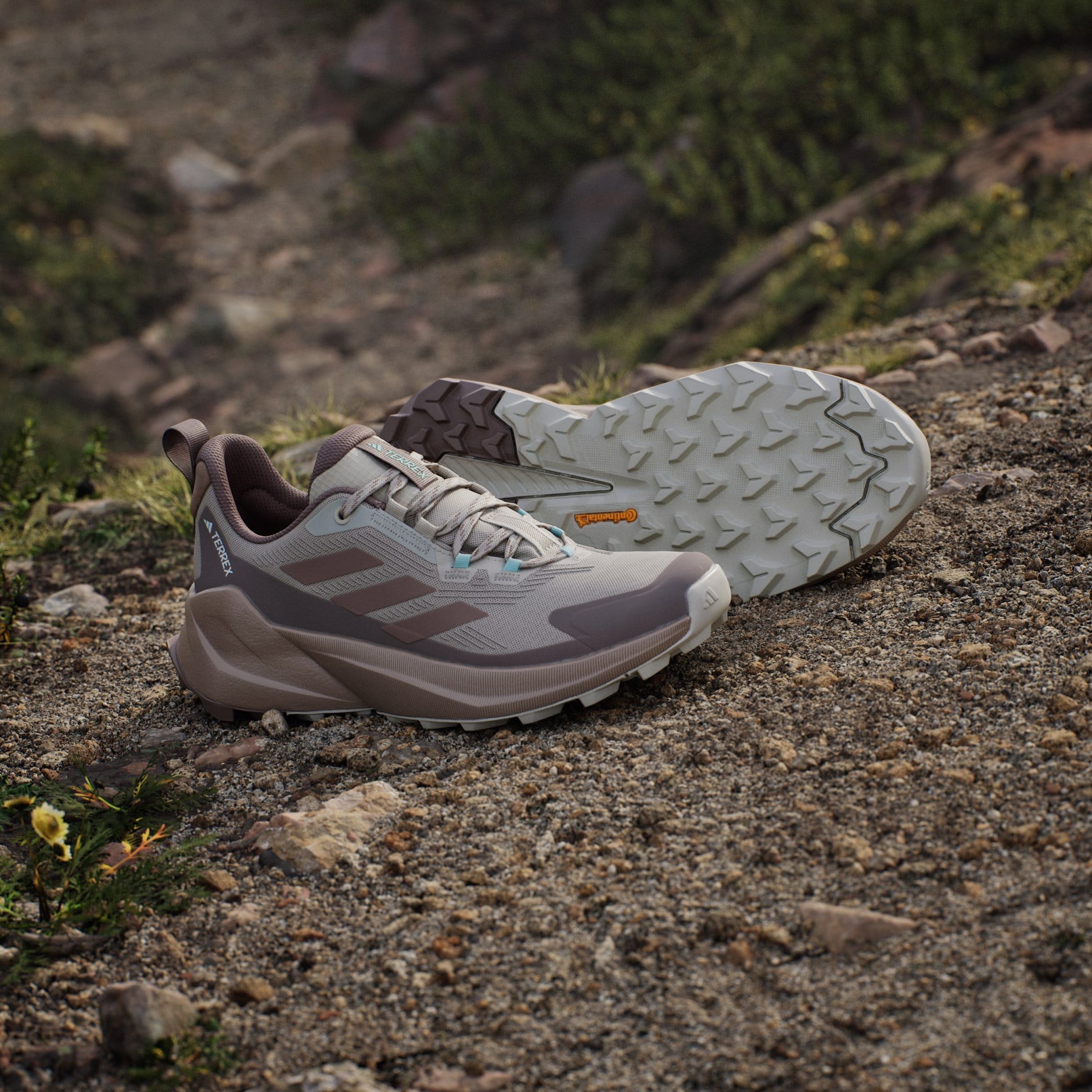 Pantofi de drumeție Terrex Trailmaker 2.0