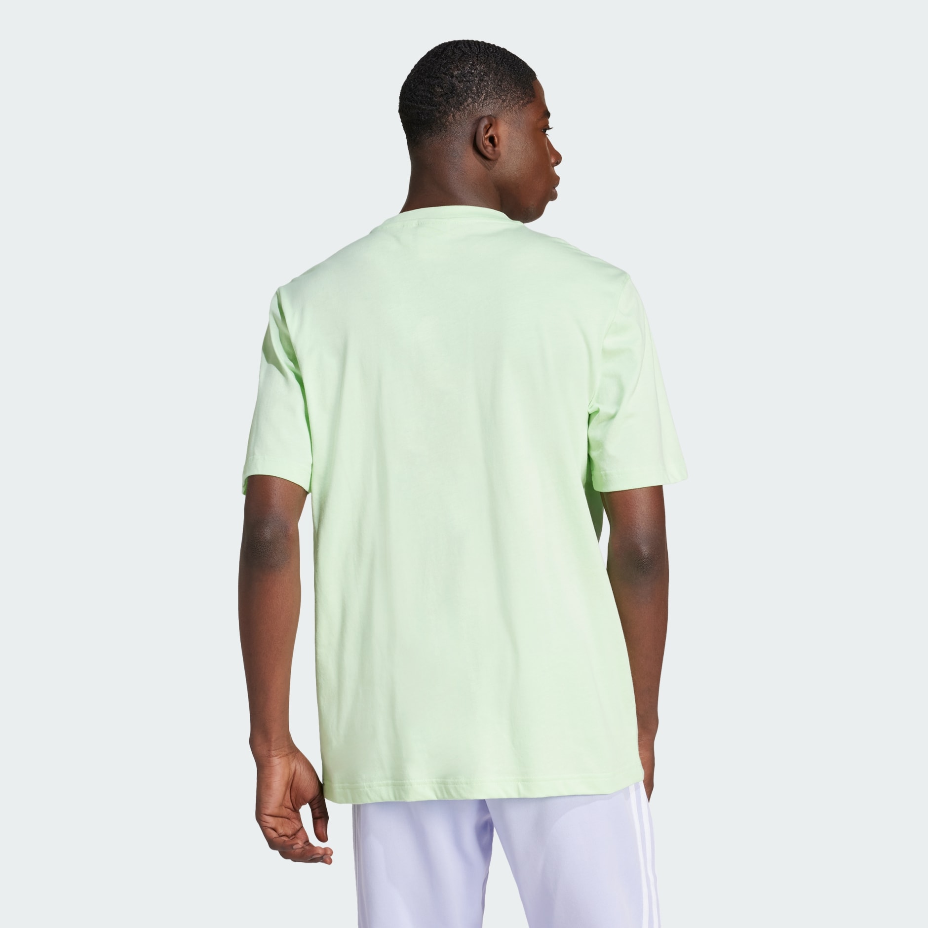 Adidas Adicolor Trefoil Tee Green Adidas Uae