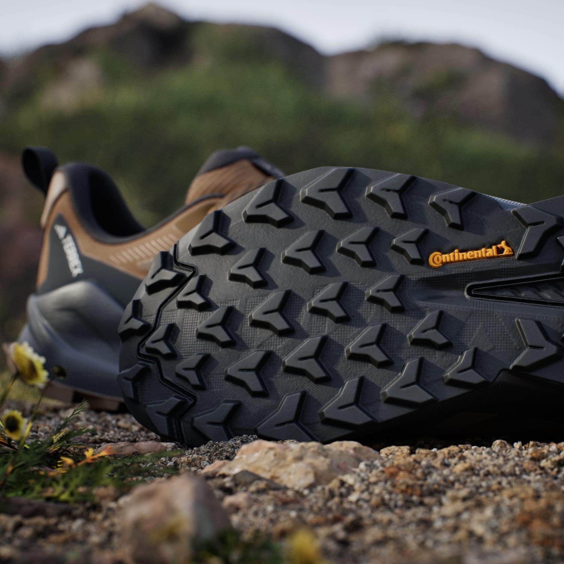 Pantofi de drumeție Terrex Trailmaker 2 GORE-TEX